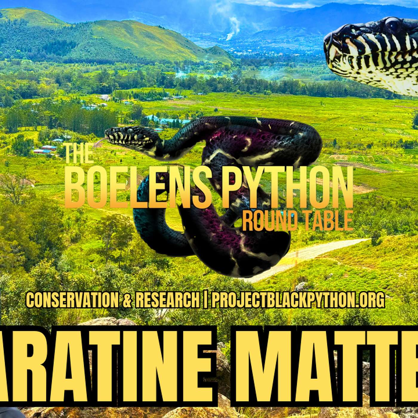 Why Quarantine Matters: Protecting Your Collection Before It’s Too Late episode artwork