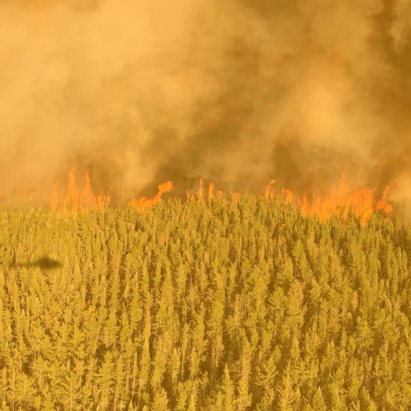 Canada is Burning and We Aren't Doing Anything About It