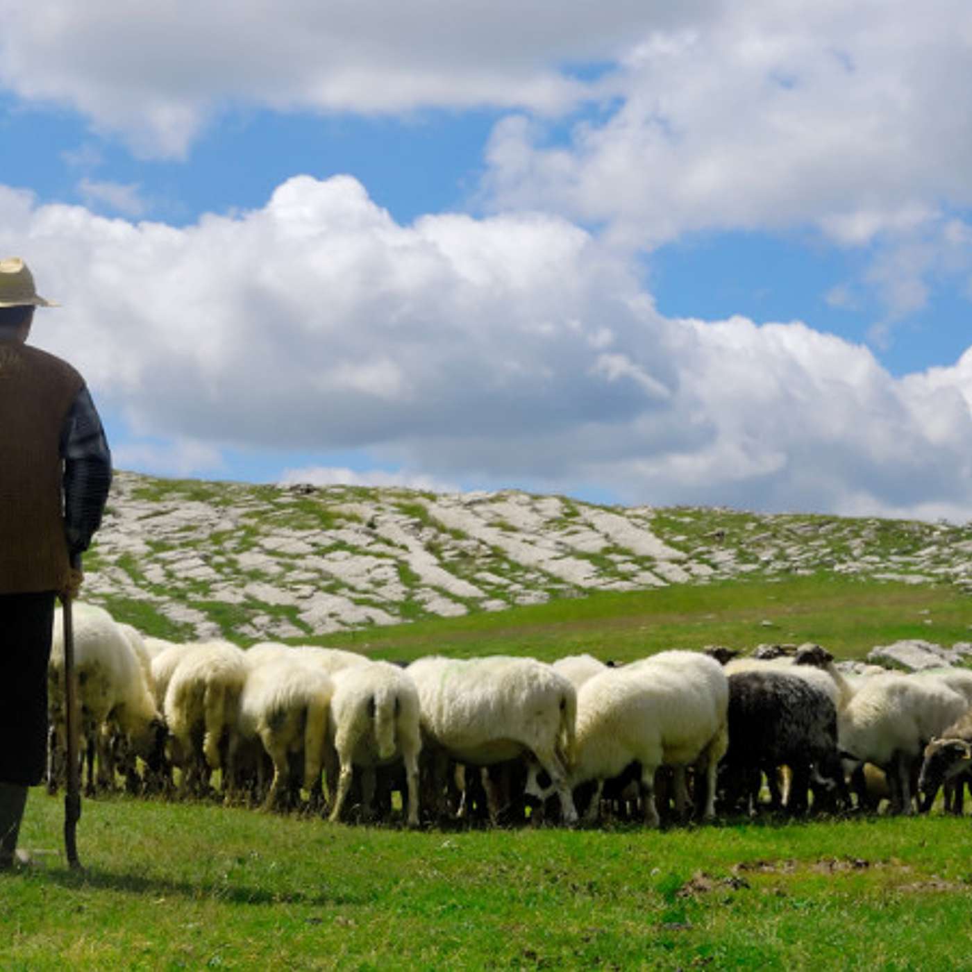 The Lord Is My Shepherd Part 5