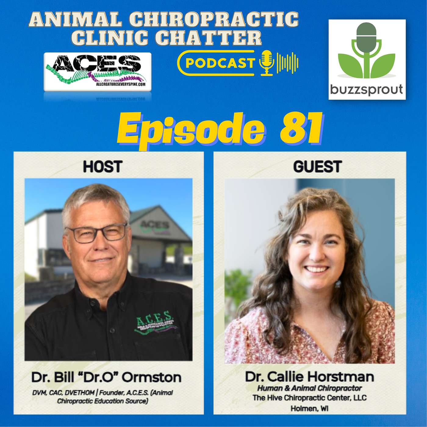 Animal Chiropractic Clinic Chatter - 🐾 Animal Chiropractic Clinic Chatter | Interview with Dr. Callie Horstman 🐾