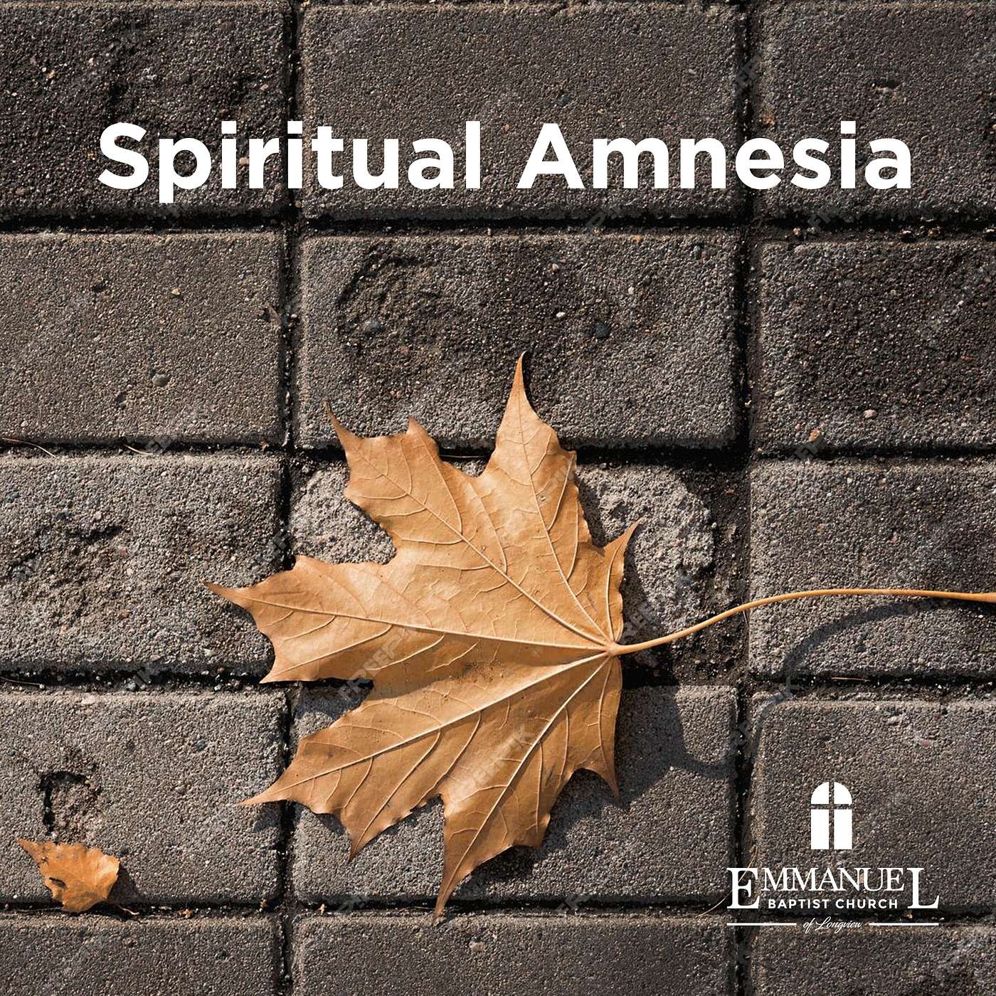Spiritual Amnesia - Sunday AM 10/15/2023  - Pastor Bob Gray II episode artwork