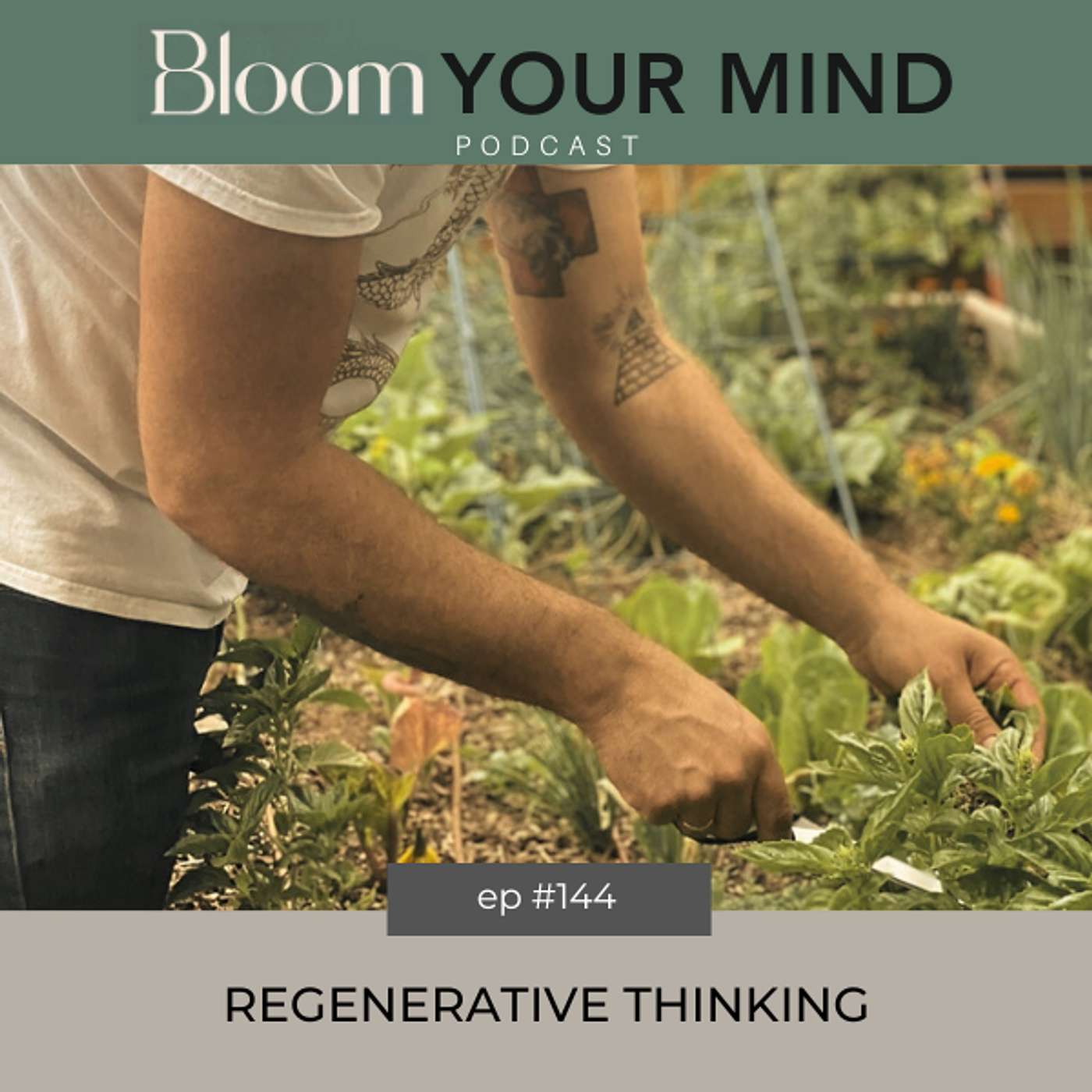Ep 144: Regenerative Thinking