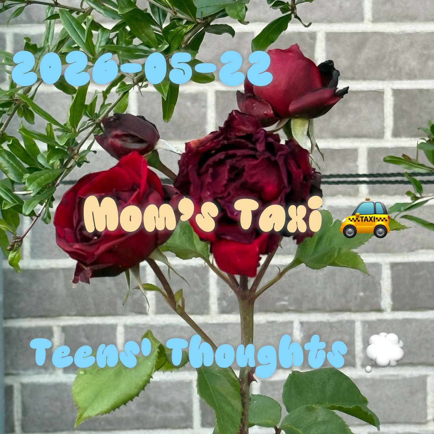 May 22nd TGIF Leon is back episode artwork