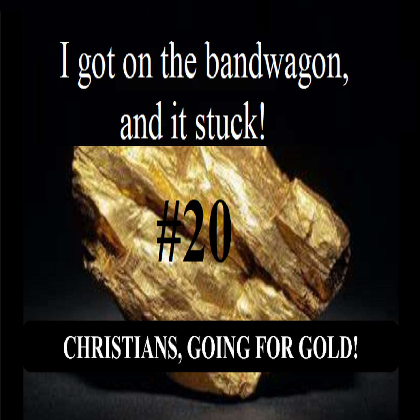 #20 I got on the bandwagon, and it stuck.
