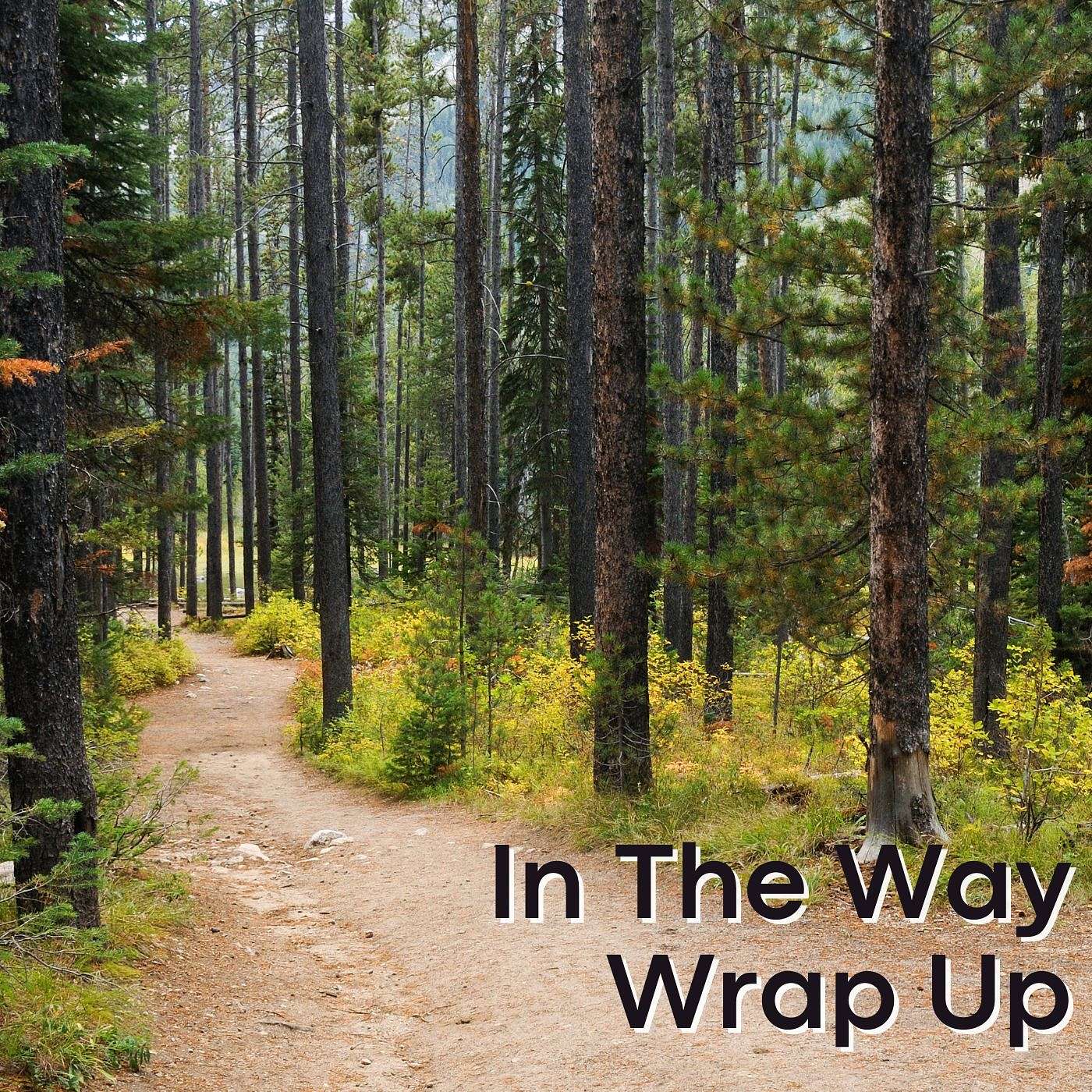 Disciple Making