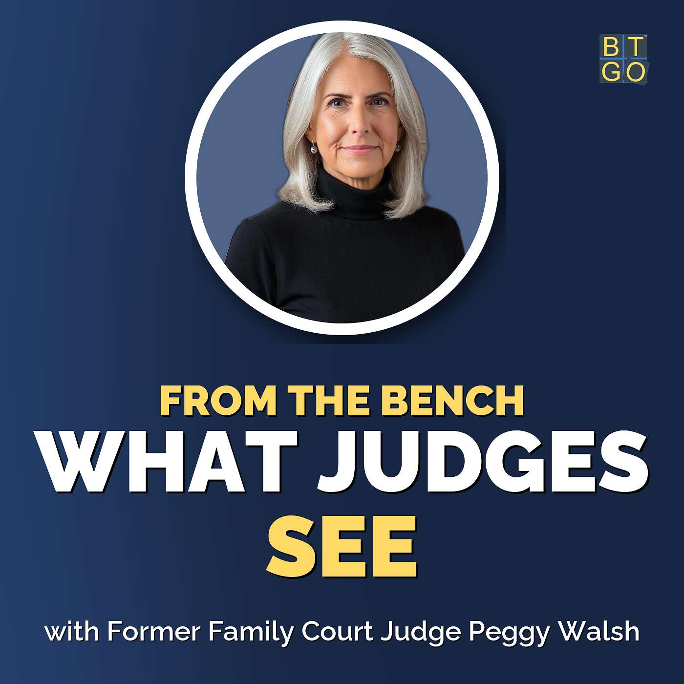 Why Did the Judge Do That? A Former Family Court Judge Explains episode artwork