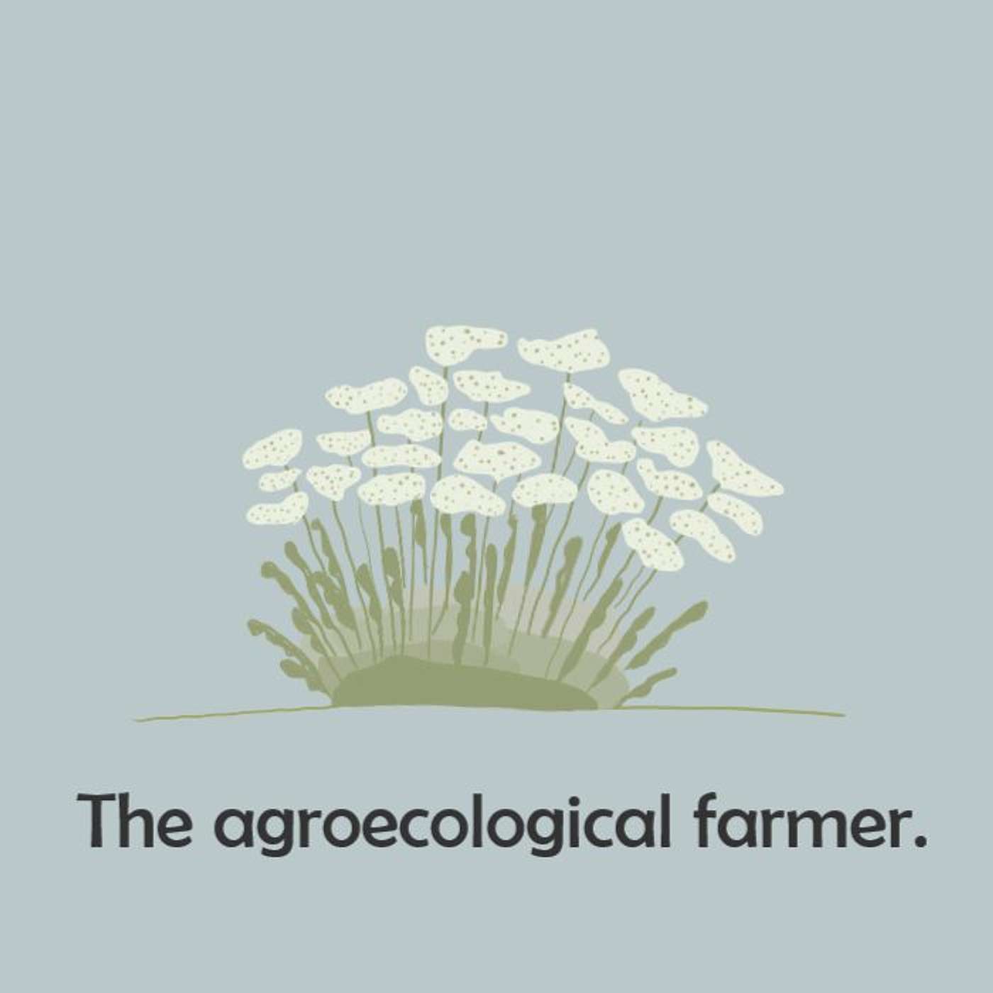 TheAgroecologicalFarmer