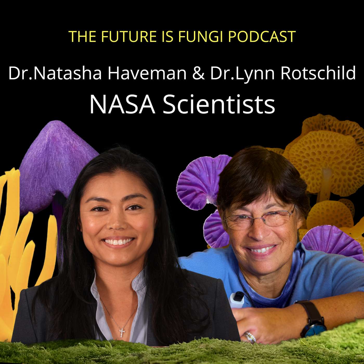 The Future is Fungi