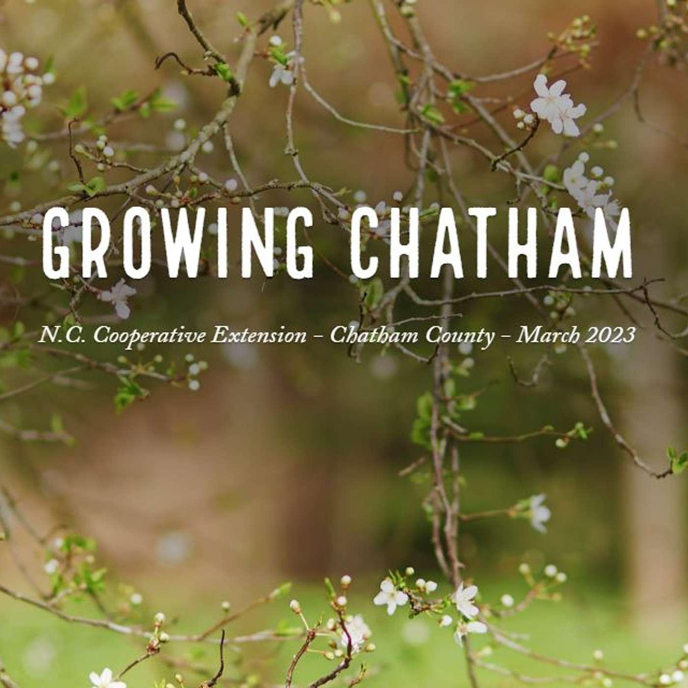 Growing Chatham March 2023 episode artwork