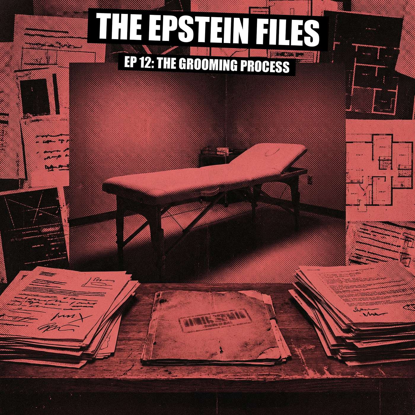 File 12 - How Epstein Groomed His Victims Step by Step