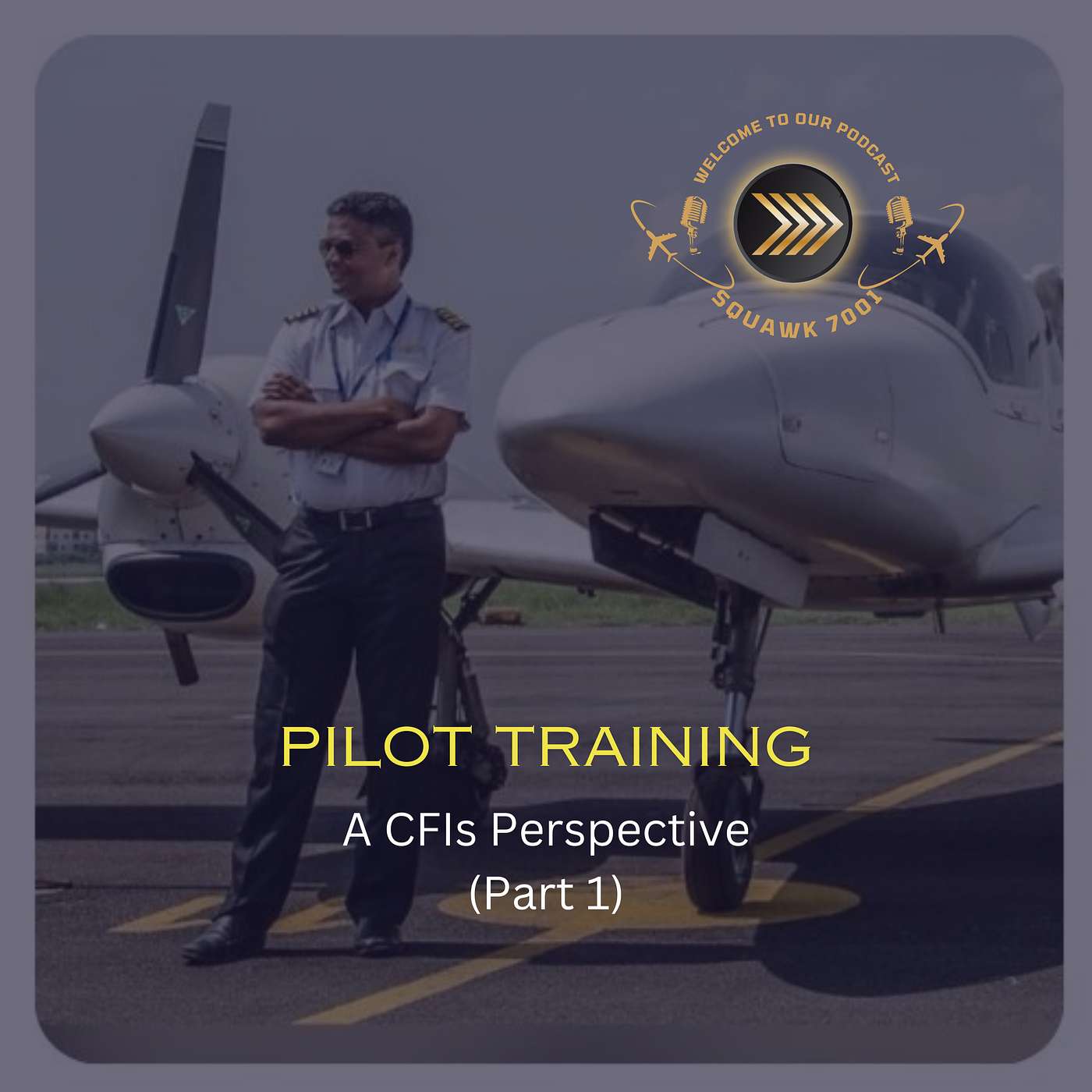 Pilot Training in India - A CFIs Perspective (Part 1)