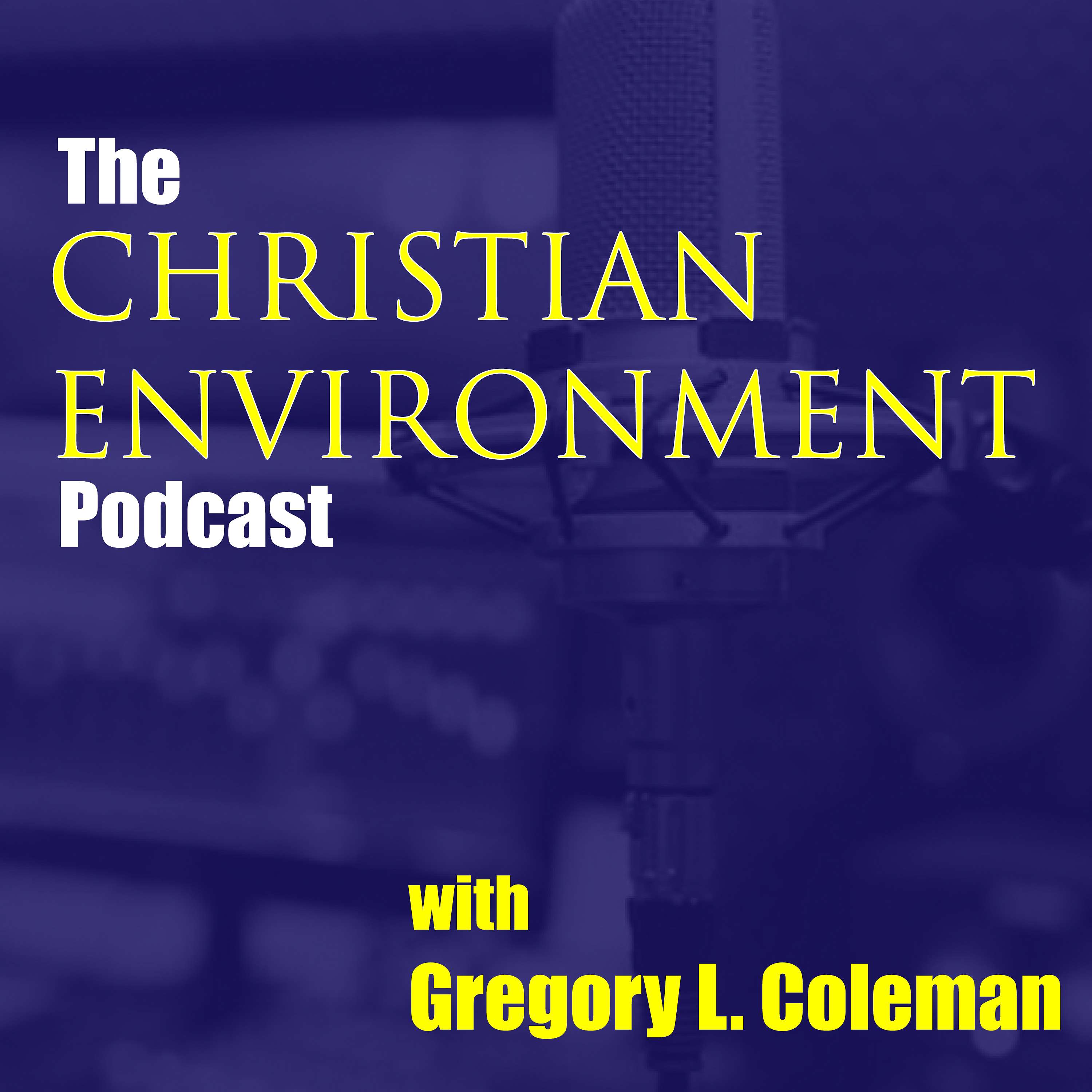 The Christian Environment