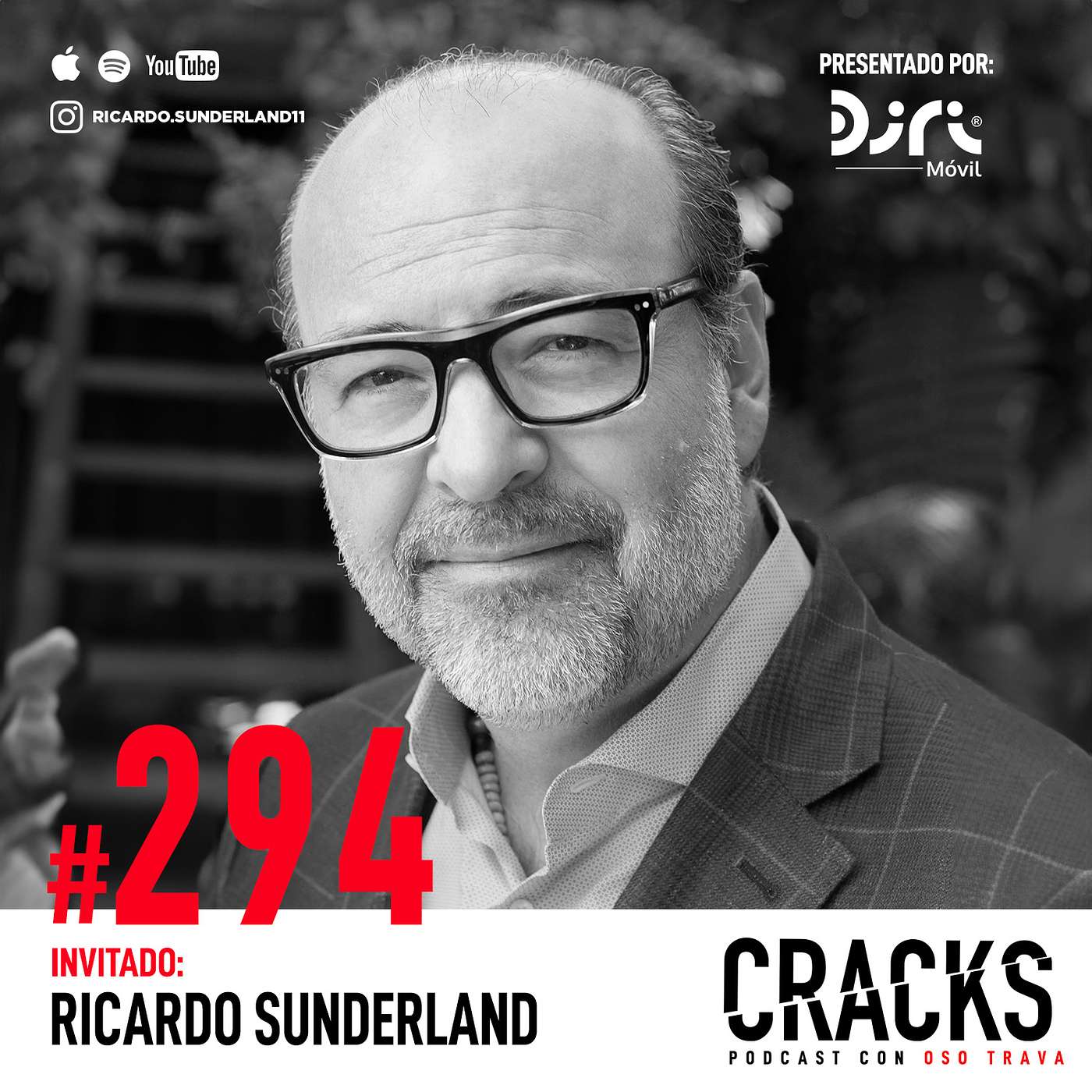 #294. Ricardo Sunderland - Transformar CEOs, Manejar tu Energía, Coaching y Rendirte ante una Fuerza Mayor