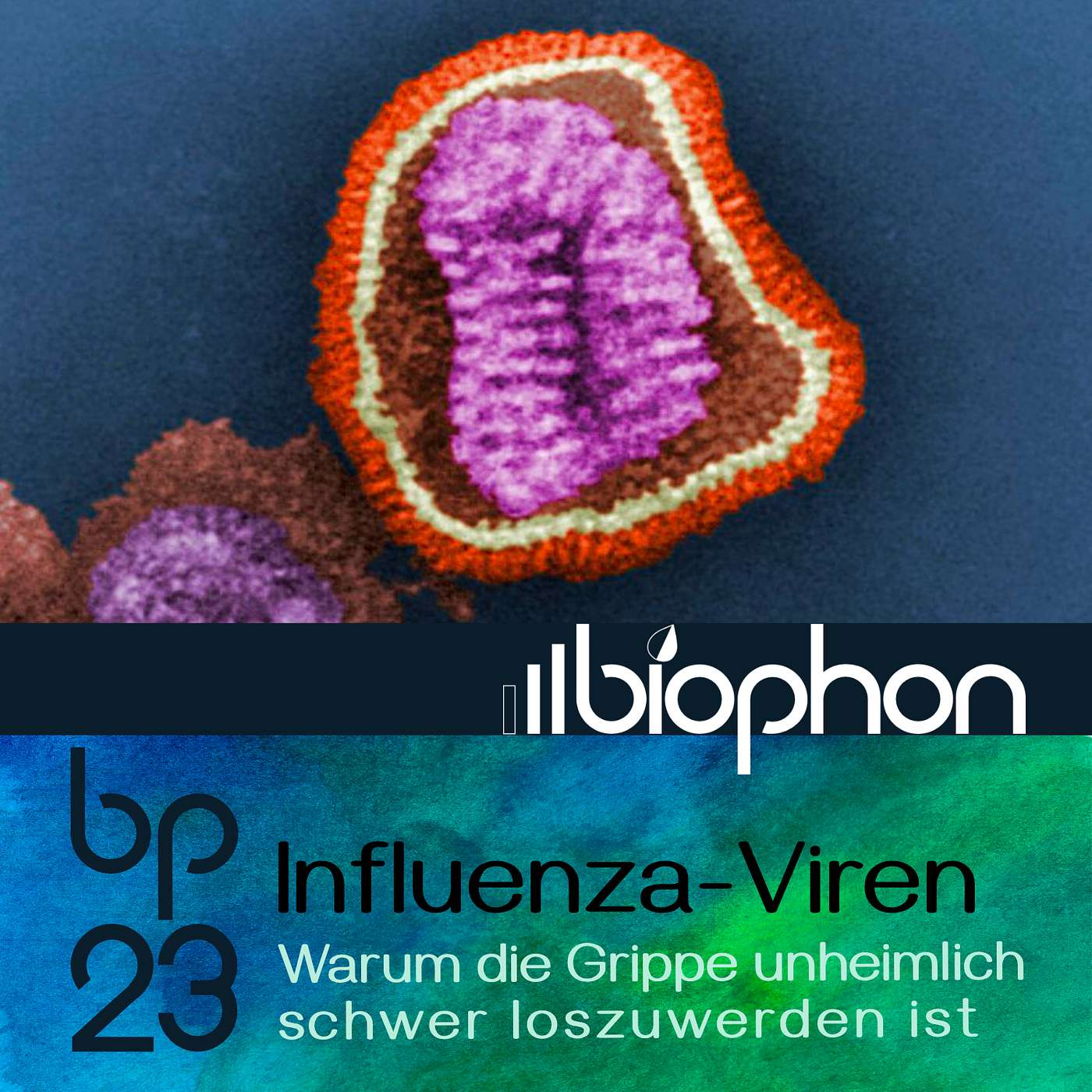 bp23: Influenza-Viren -  Warum die Grippe unheimlich schwer loszuwerden ist