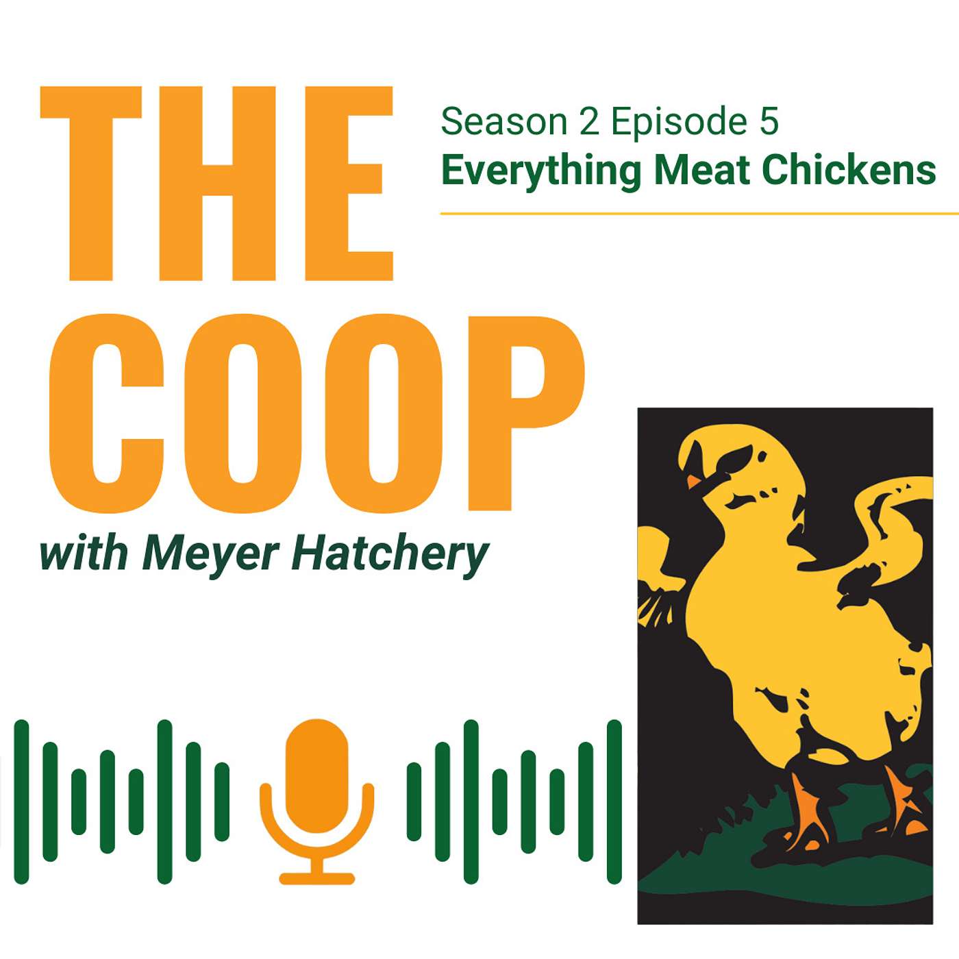 Everything Meat Chickens