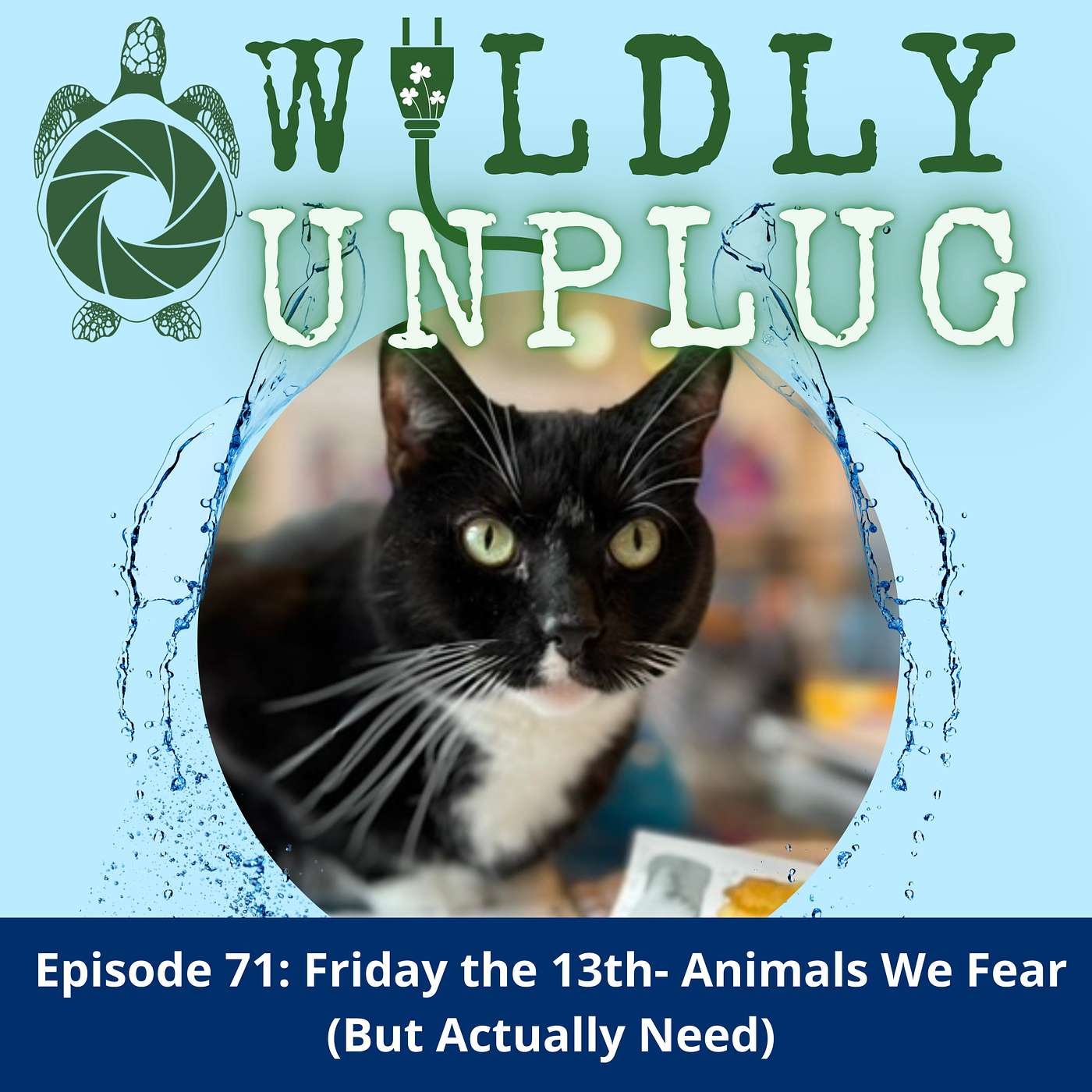 Friday the 13th- Animals We Fear (But Actually Need)