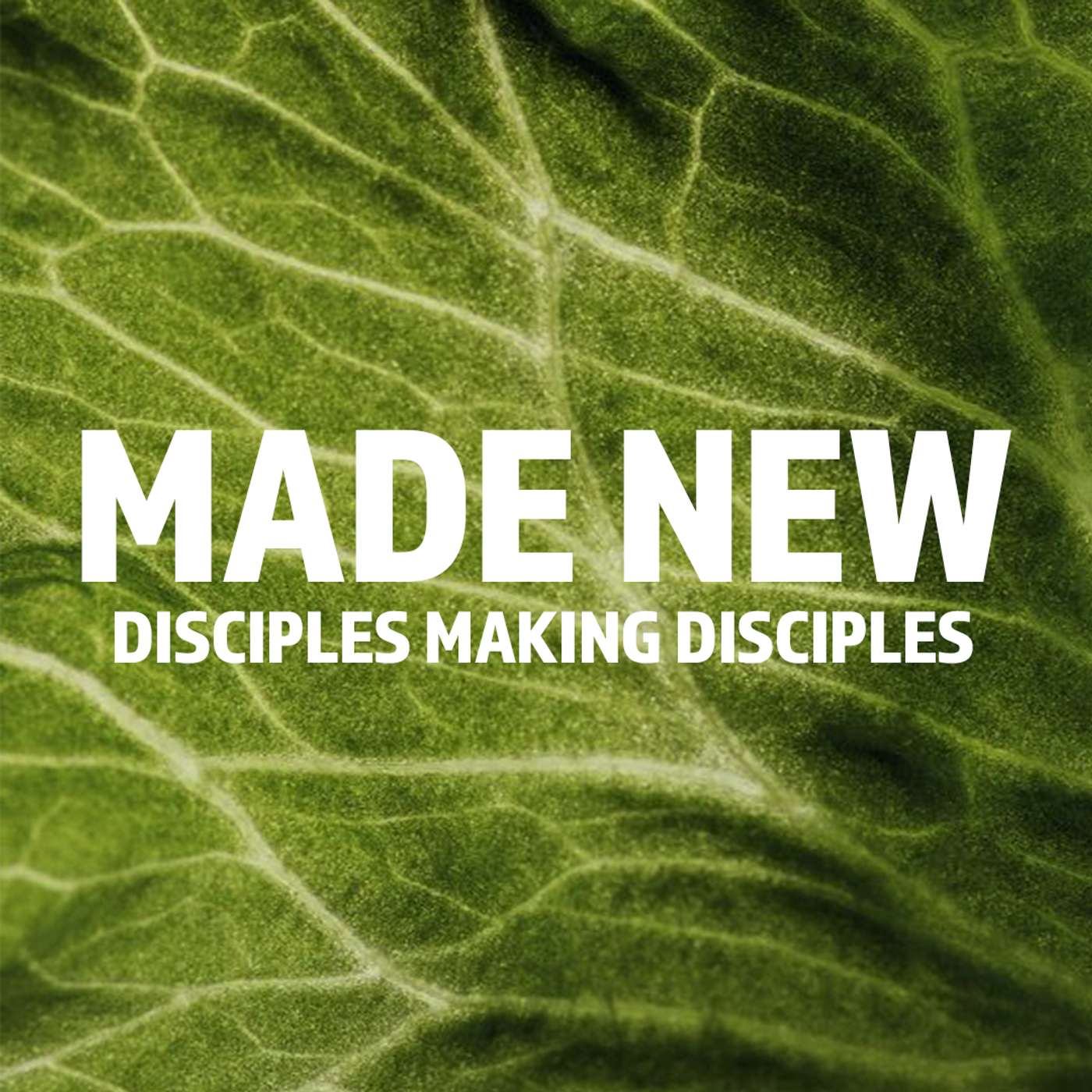 Disciples Making Disciples - Made New (Week 1) episode artwork