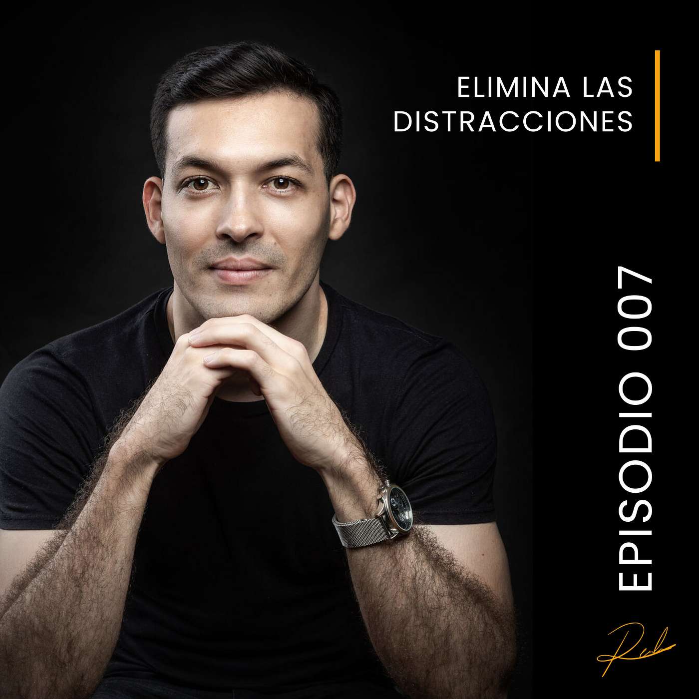 Ricardo Elizondo - Minimalismo Empresarial