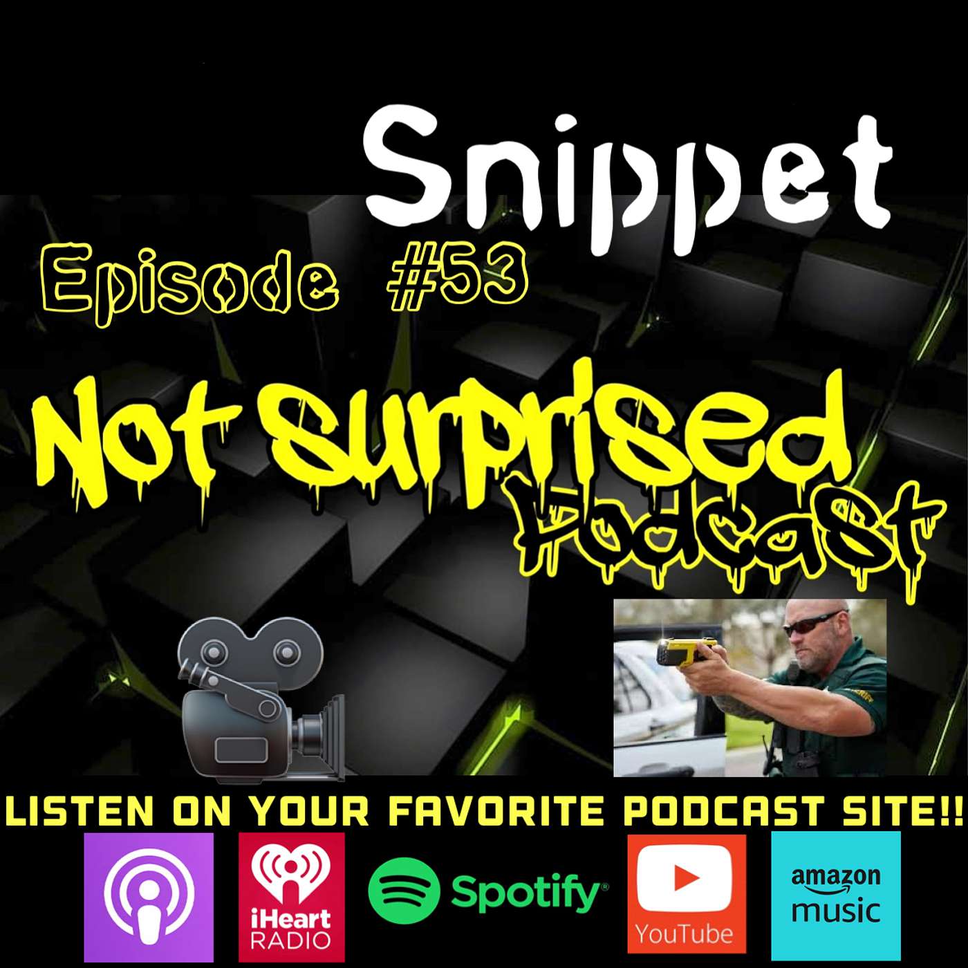 Not Surprised Podcast