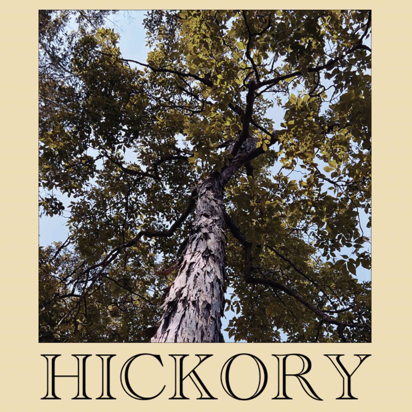 The HICKORY Podcast