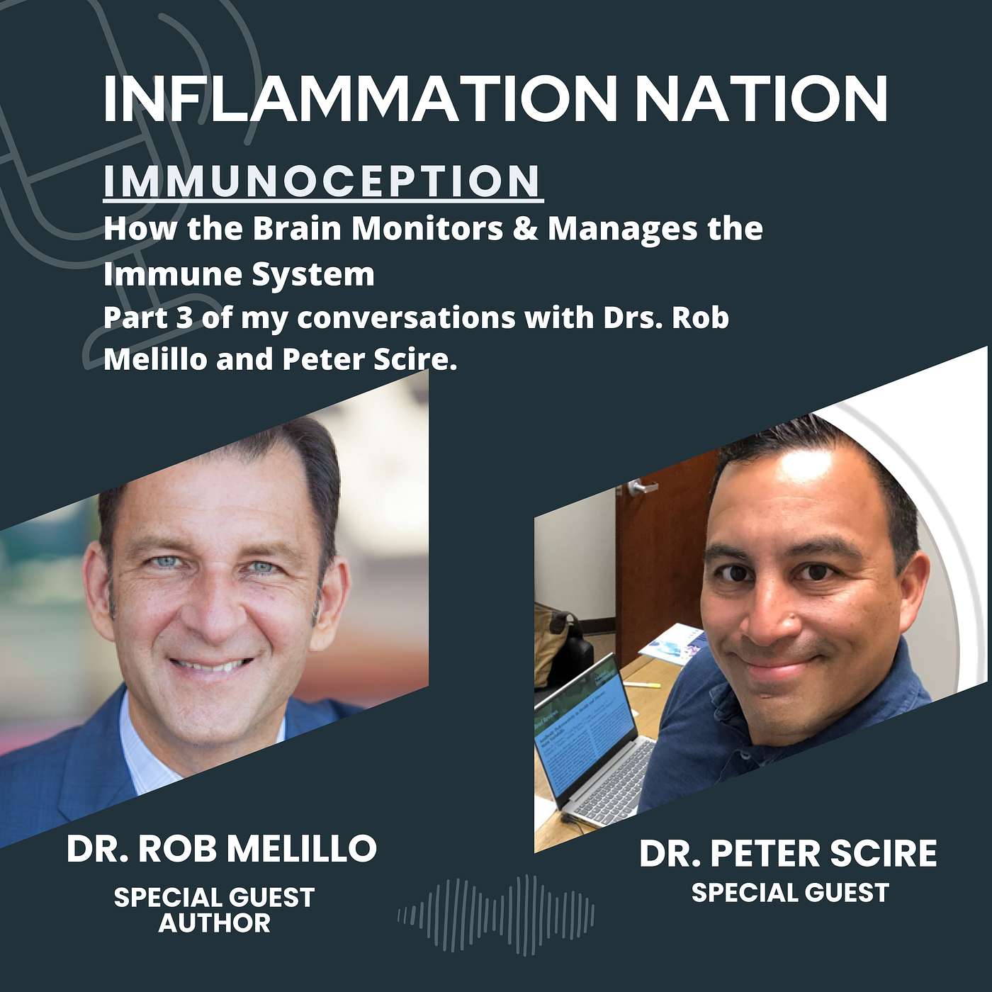 177 | Unlocking the Neuroimmune Connection: Exploring Immunoception, Brain Lateralization, and the Insular Cortex with Experts Drs. Peter Scire and Rob Melillo
