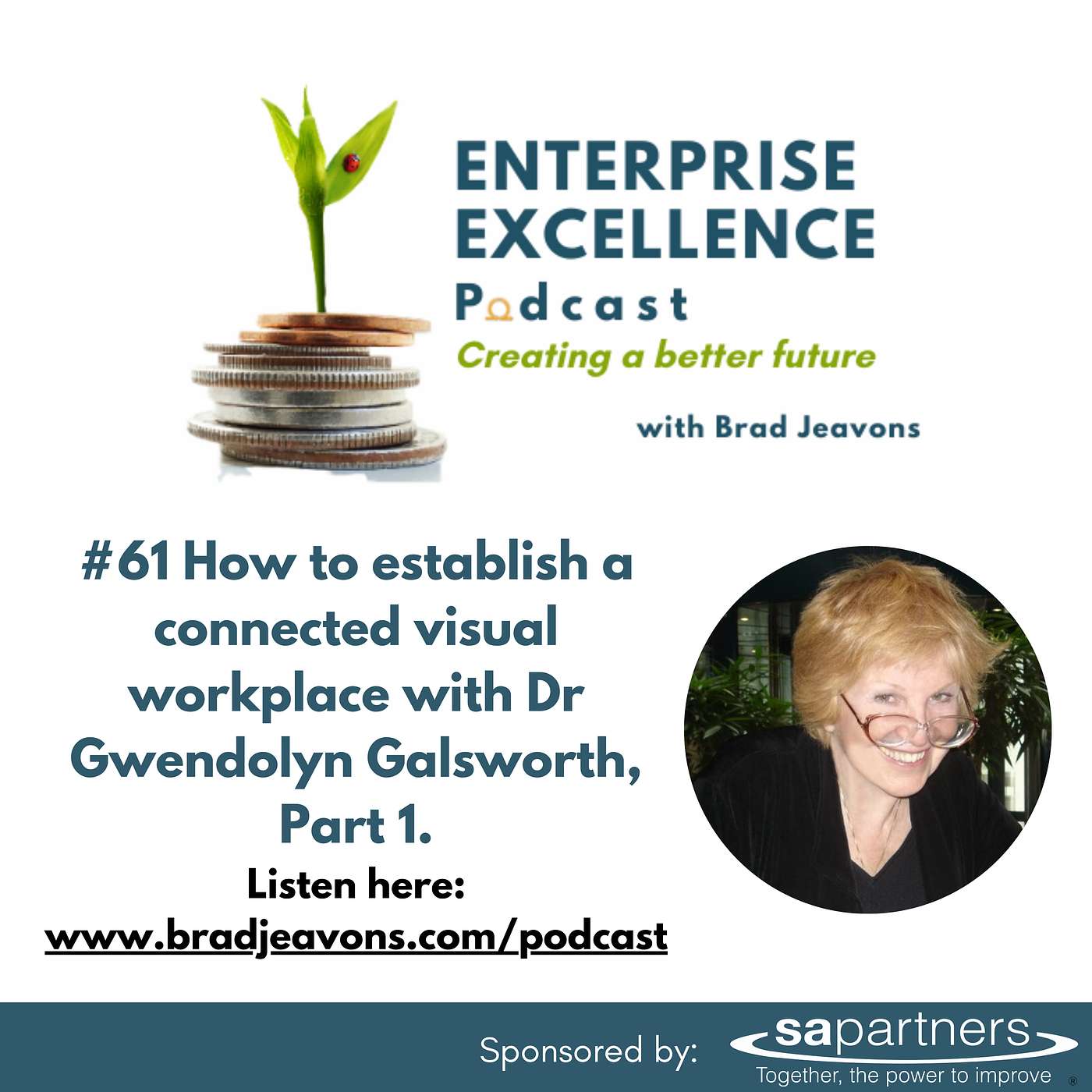 Enterprise Excellence Podcast with Brad Jeavons