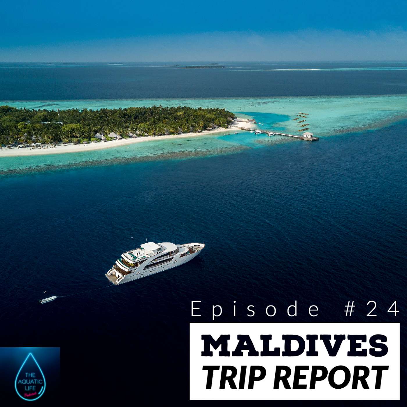 The Aquatic Life - 024: Maldives Trip Report