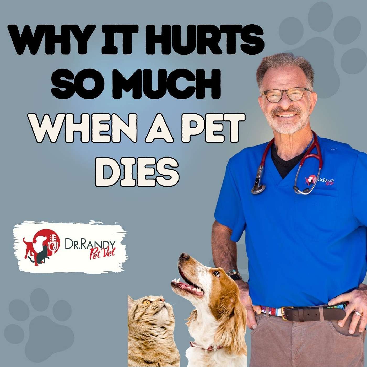 How To Get Through The Pain of Losing A Pet | PAWS, Reflect & Heal