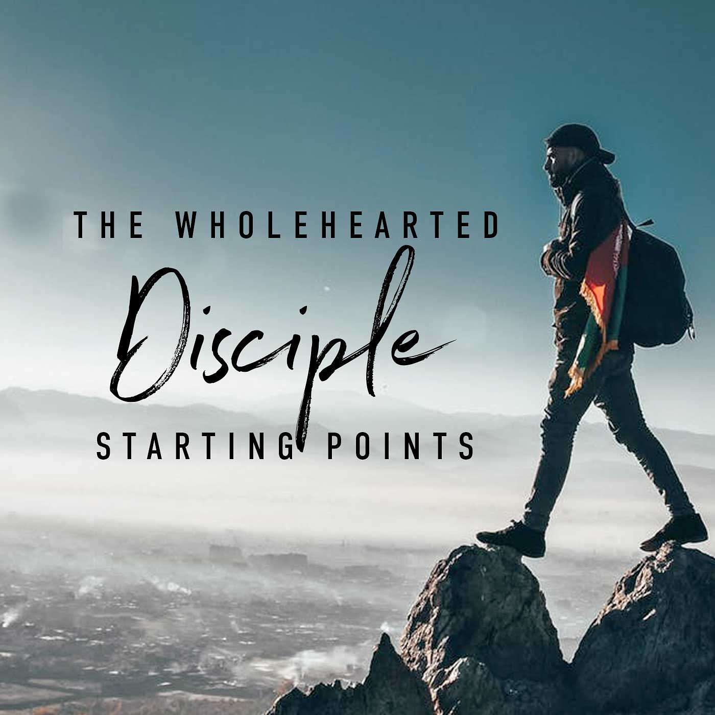 The Wholeheart Disciple II: Kingdom Wealth and Stewardship - The Wholeheart Disciple: Starting Points episode artwork