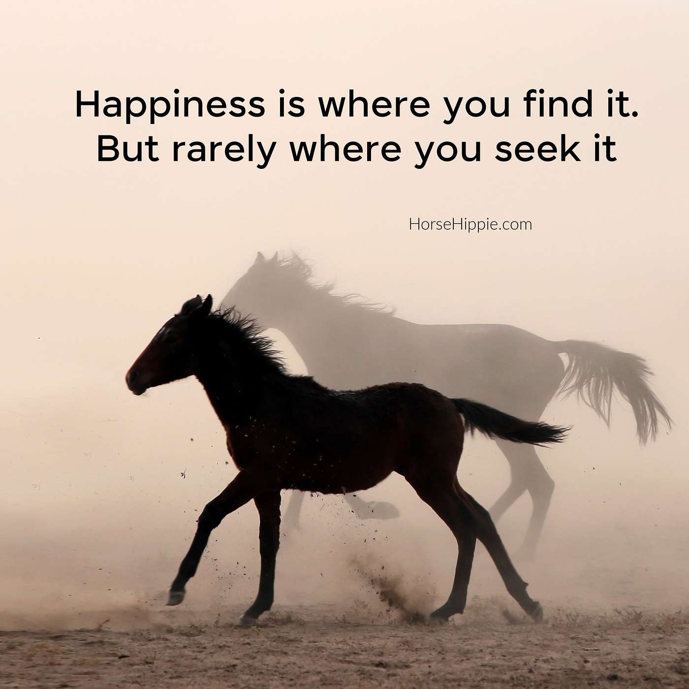 Happy With Your Life