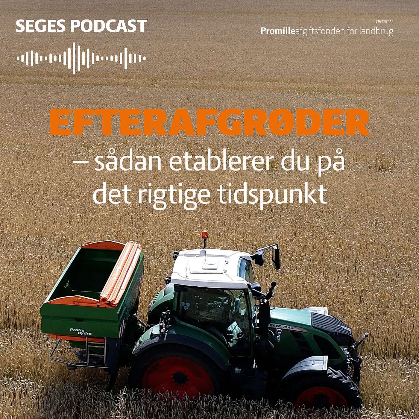 Din Mark Lige Nu: Efterafgrøder - sådan etablerer du på det rigtige tidspunkt Din Mark Lige Nu: Efterafgrøder - sådan etablerer du på det rigtige tidspunkt