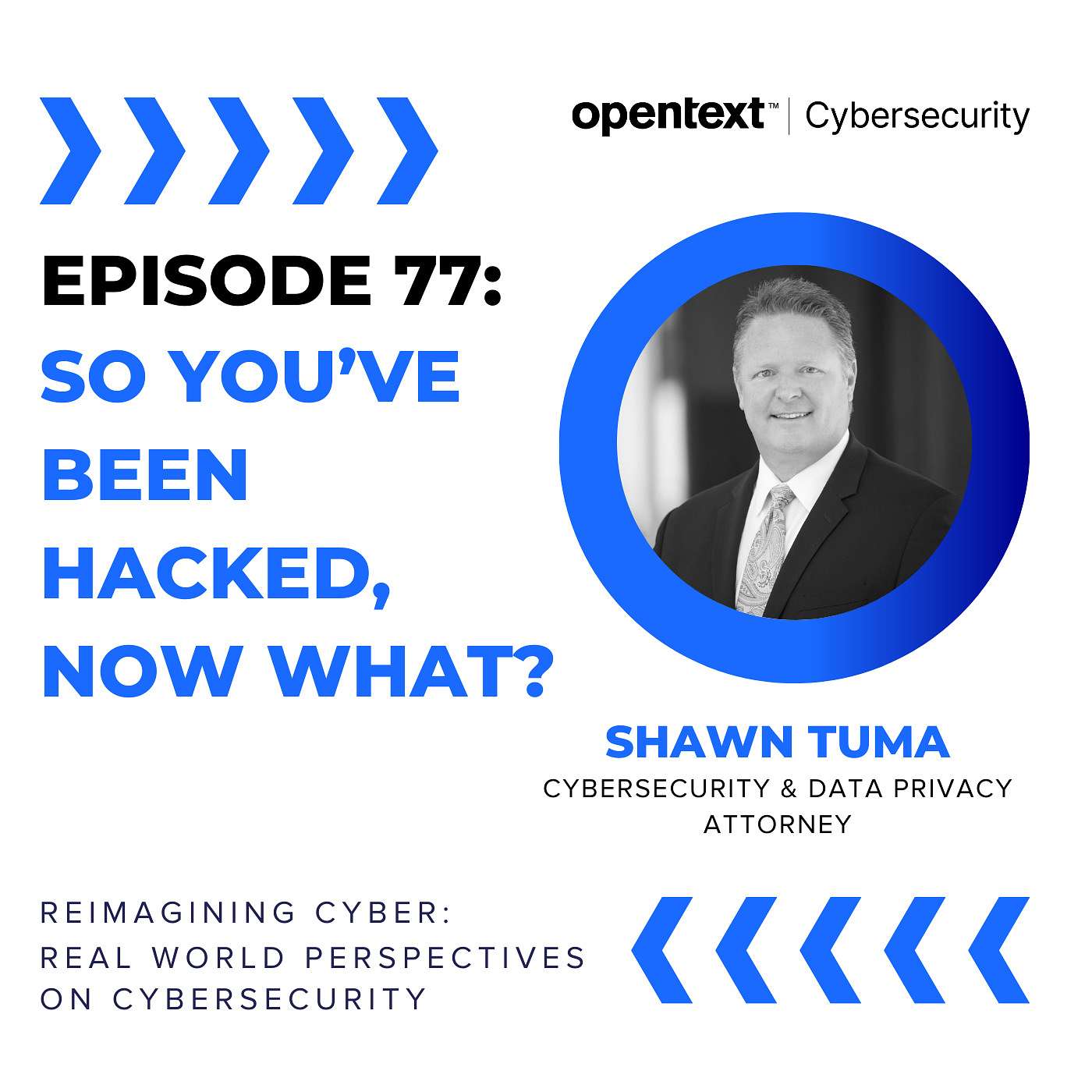 Reimagining Cyber - real world perspectives on cybersecurity