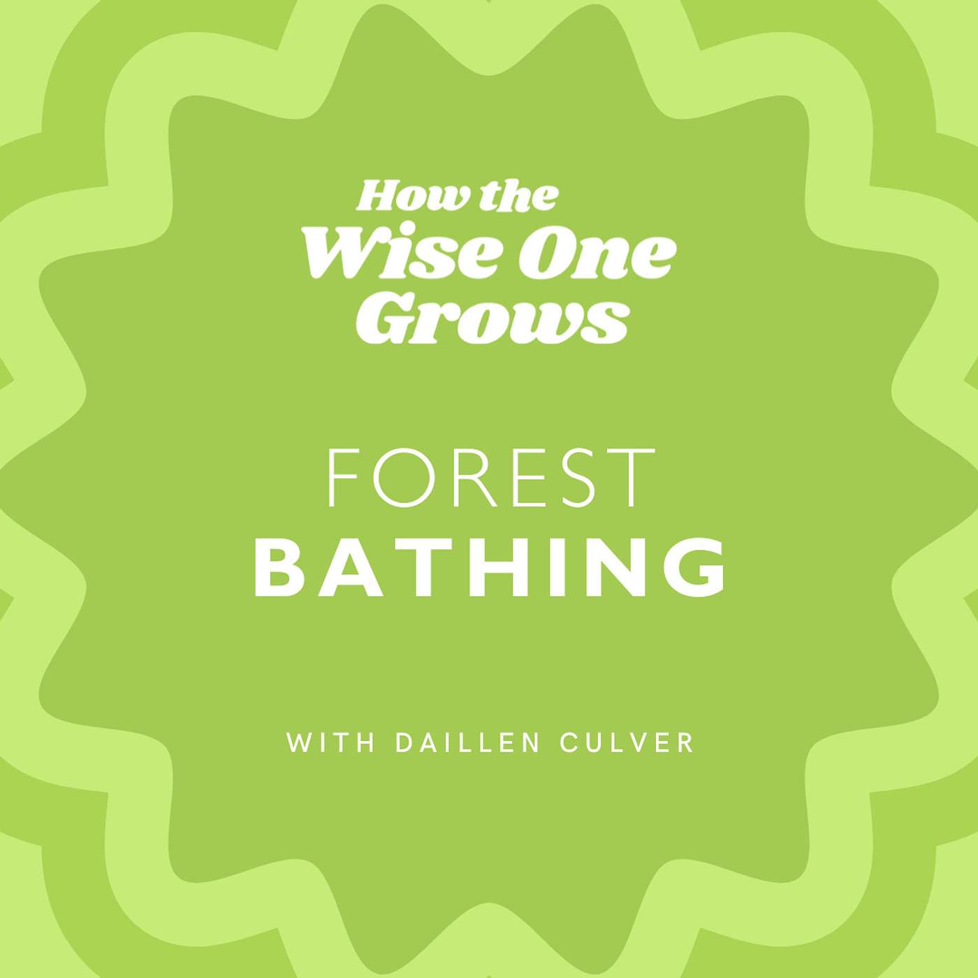 [FLASHBACK] How Forest Bathing Can Ease Your Climate Distress and Anxiety with Daillen Culver