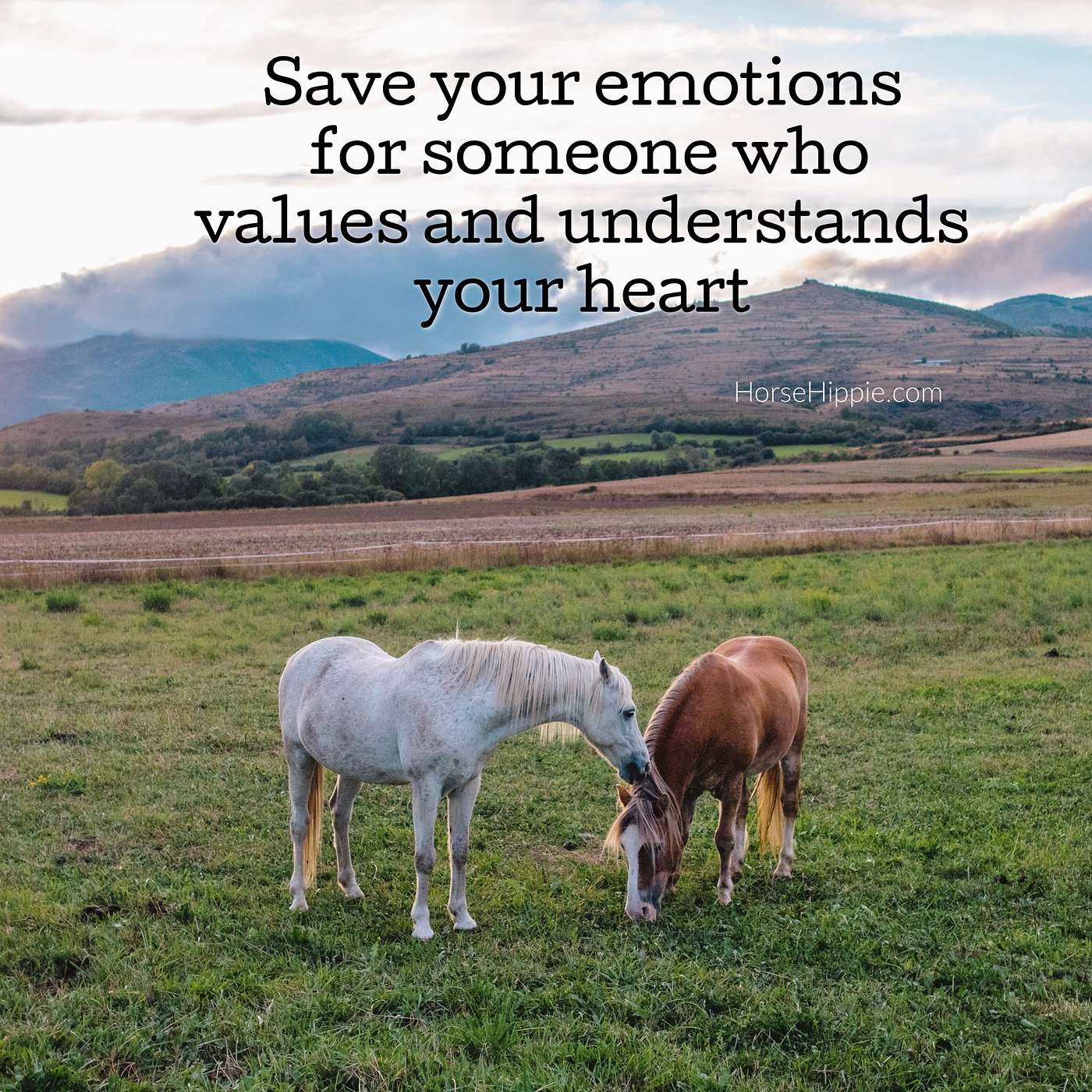 Picky About Love Picky About Love