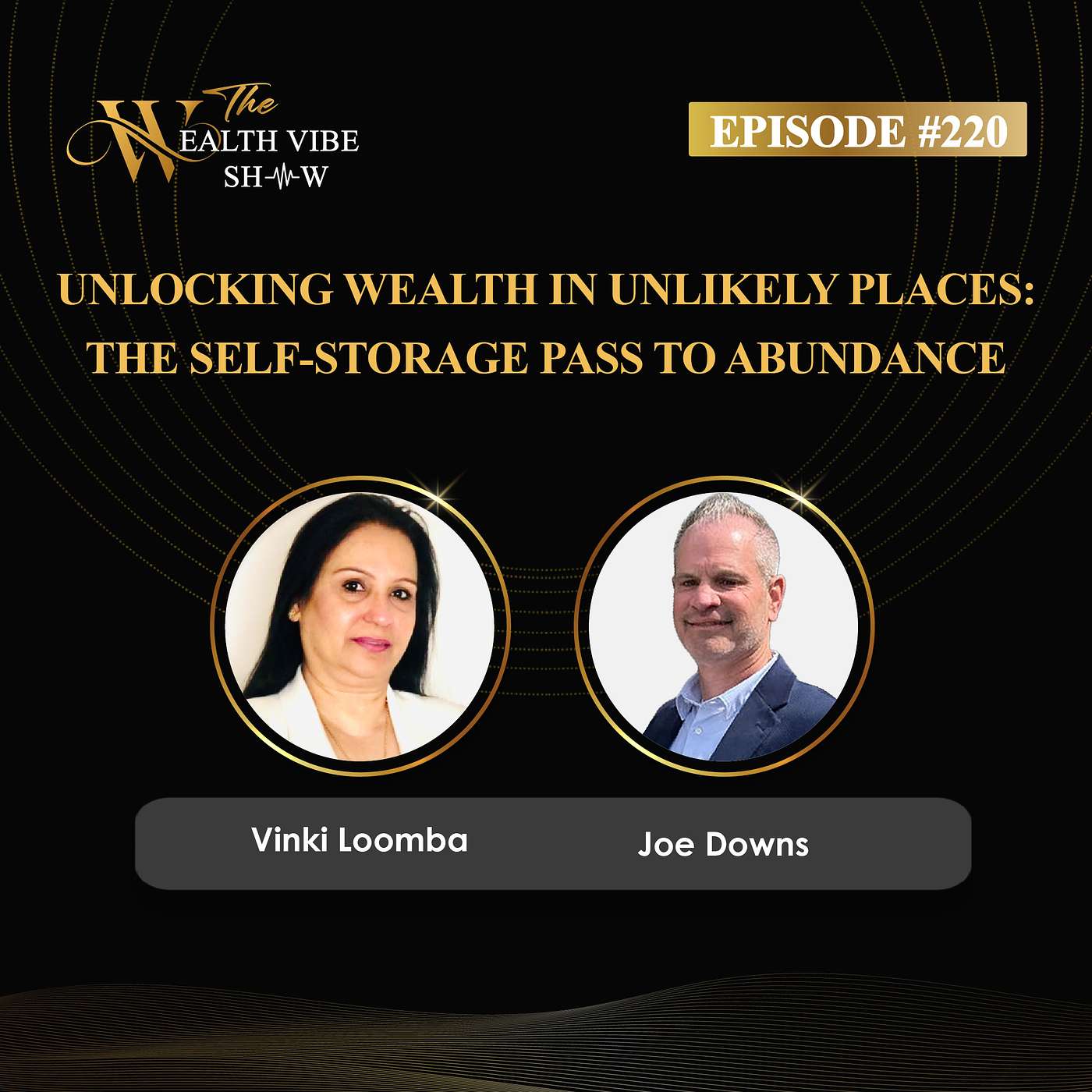 The Wealth Vibe Show!