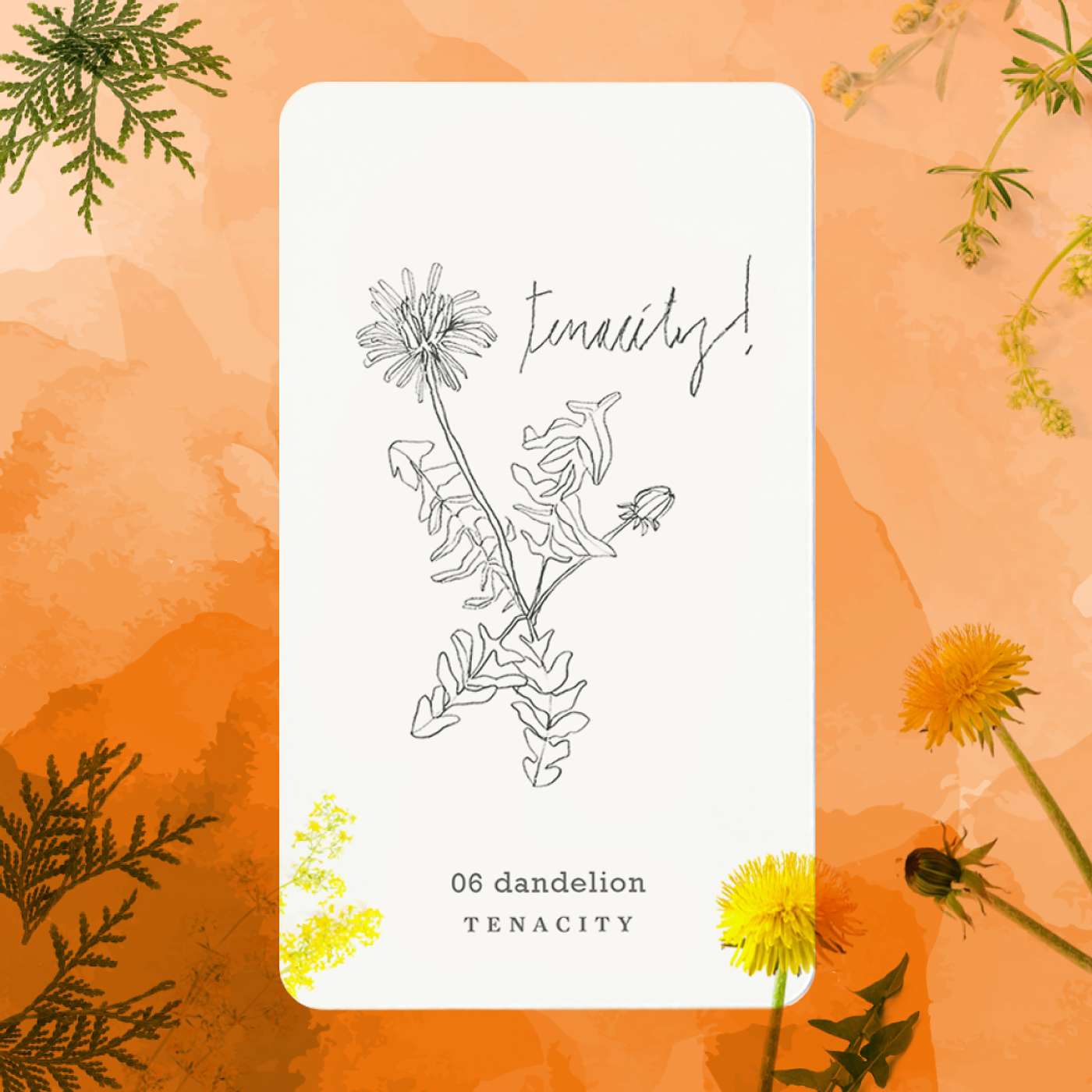 Gratitude Blooming Podcast