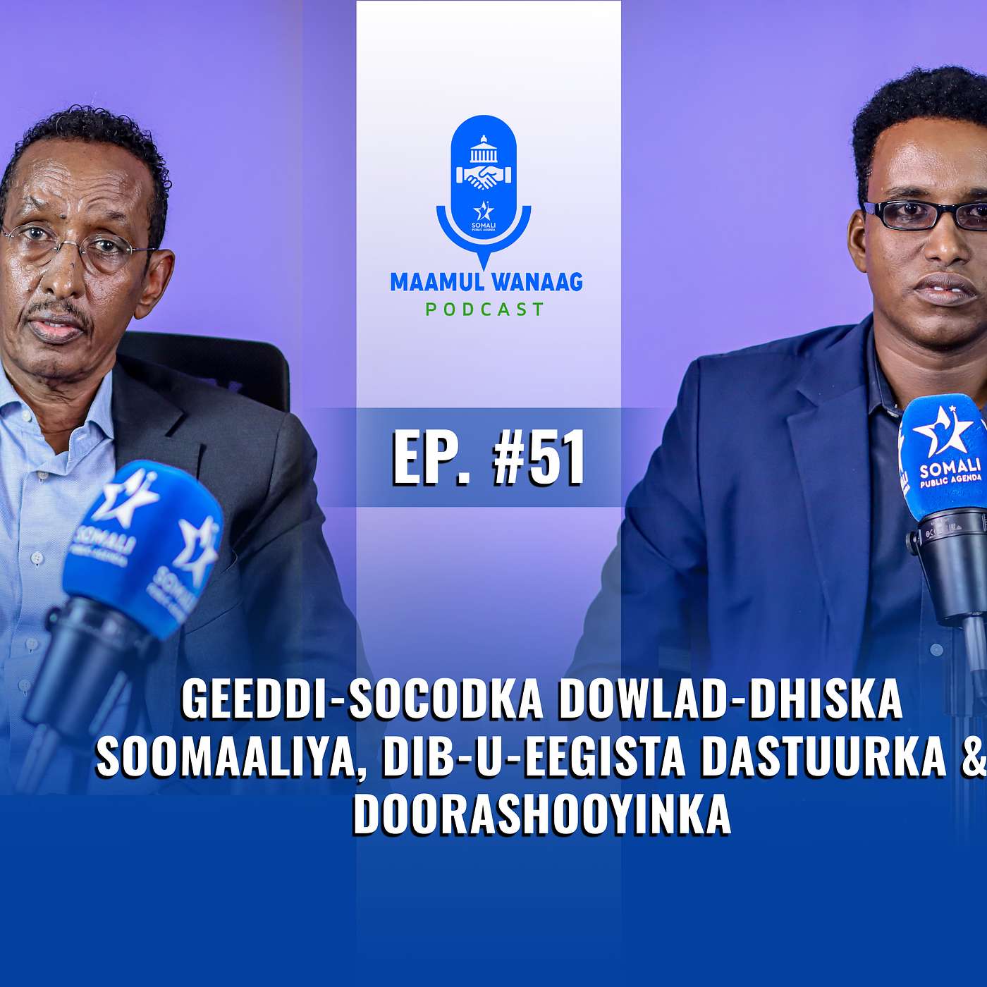 Geeddi-socodka Dowlad-dhiska Soomaaliya, Dib-u-eegista Dastuurka & Doorashooyinka