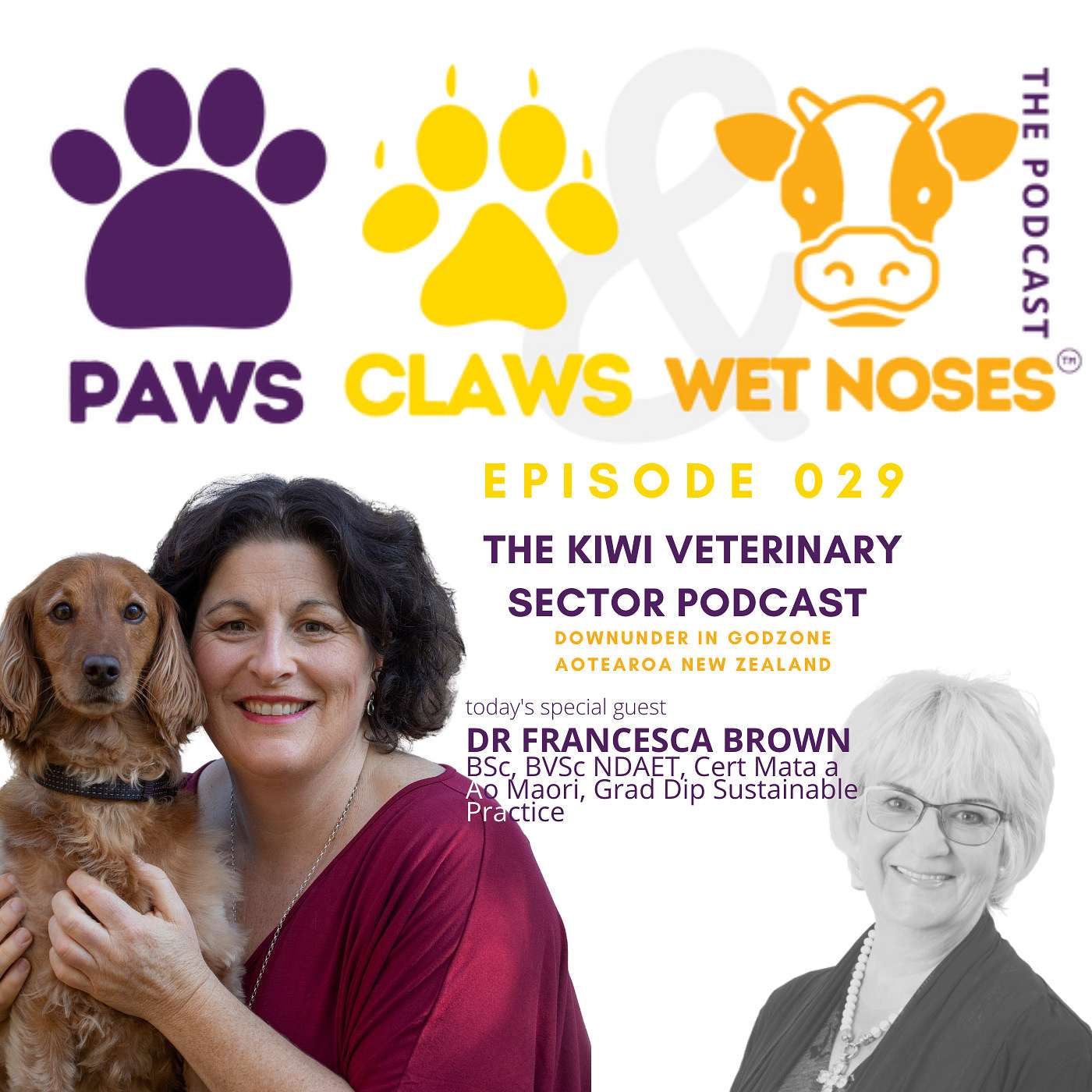 029 - Dr Francesca Brown - Healthy Vet Professionals = Healthy Vet Clinic Bottom Lines