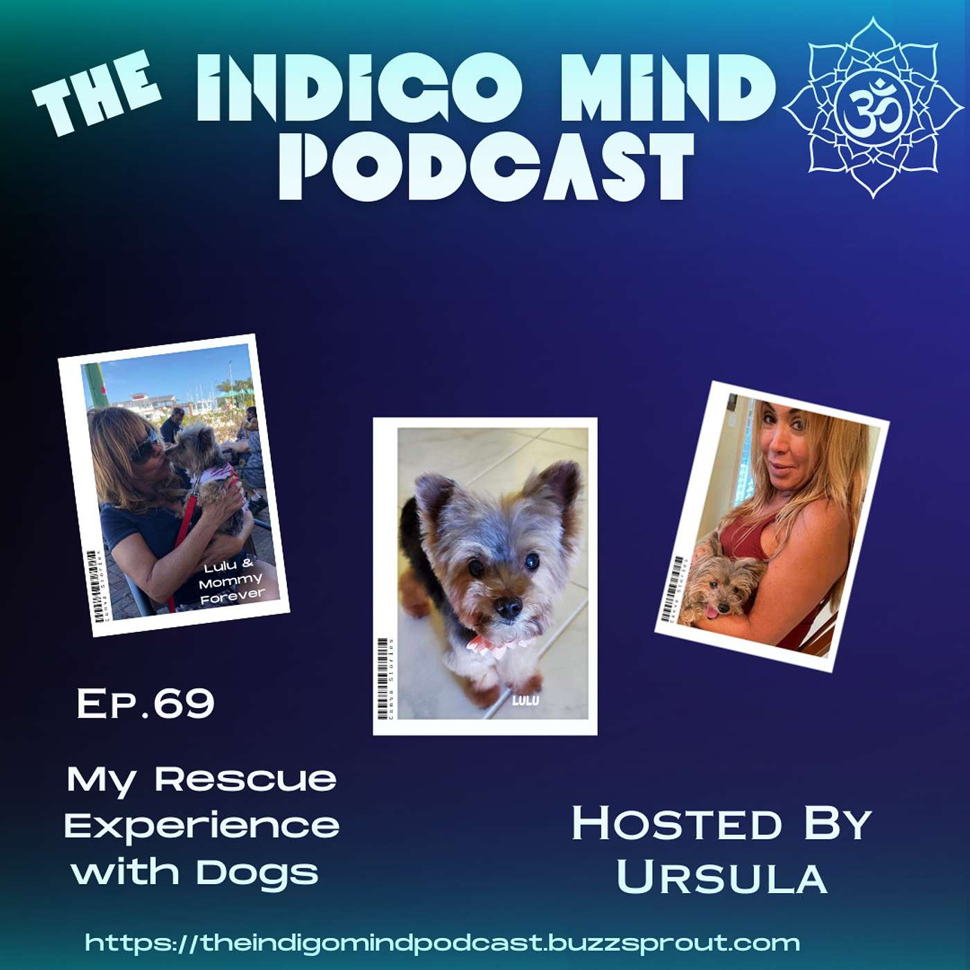 The Indigo Mind Podcast