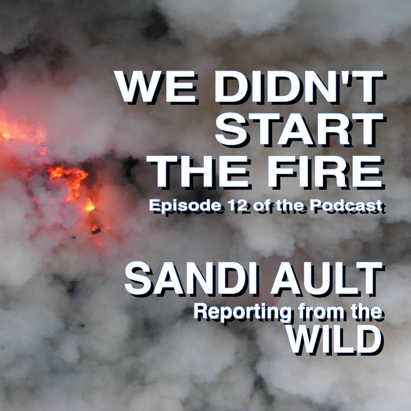 SANDI AULT—Reporting from the WILD