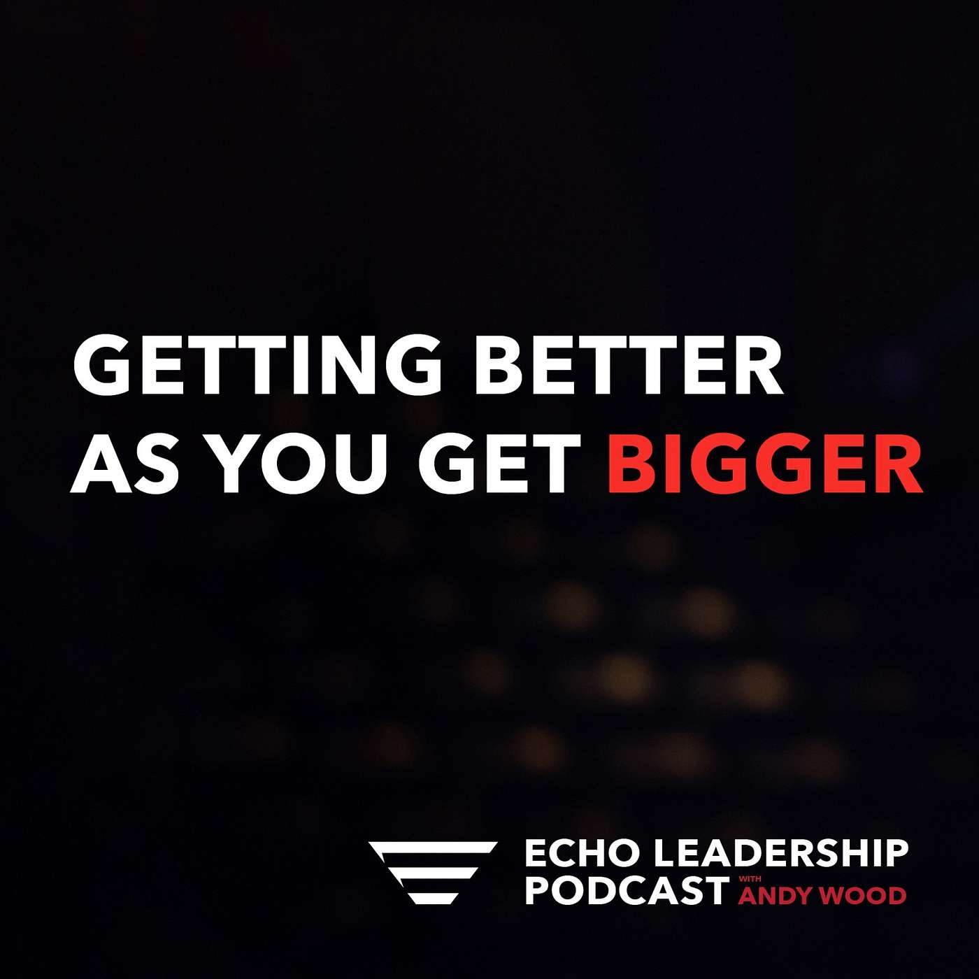 Echo Leadership Podcast with Andy Wood
