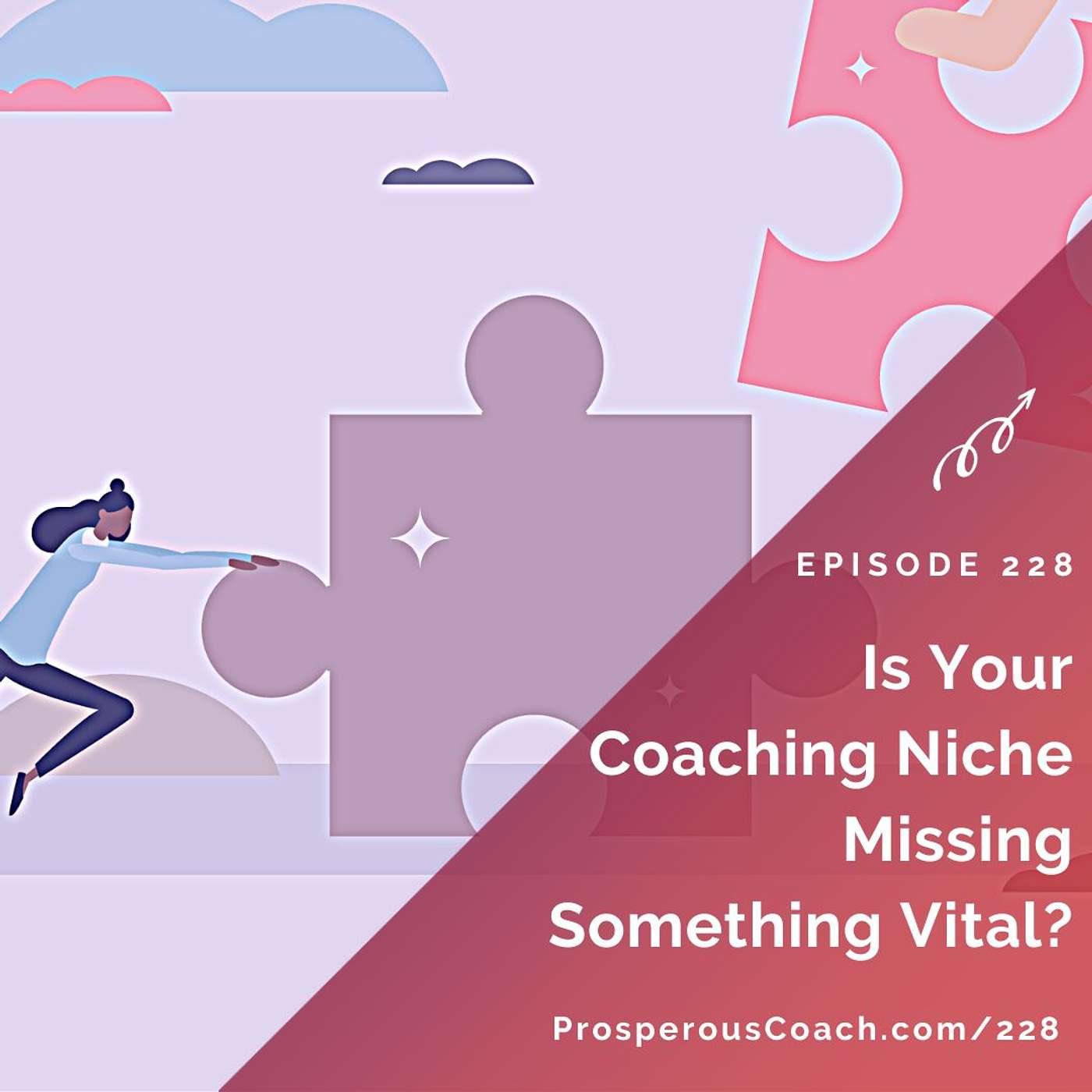 228: Is Your Coaching Niche Missing Something Vital?