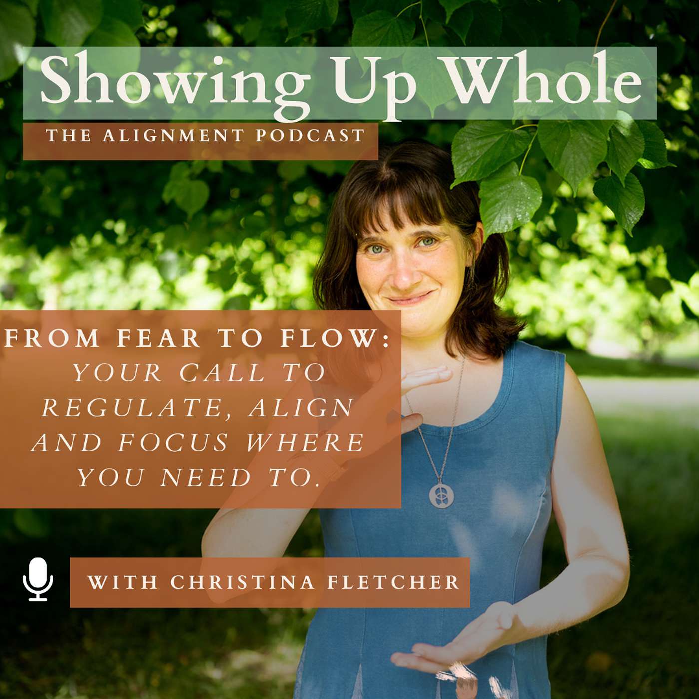 From Fear to Flow: Your Call to Regulate, Align and Focus Where You Need To.