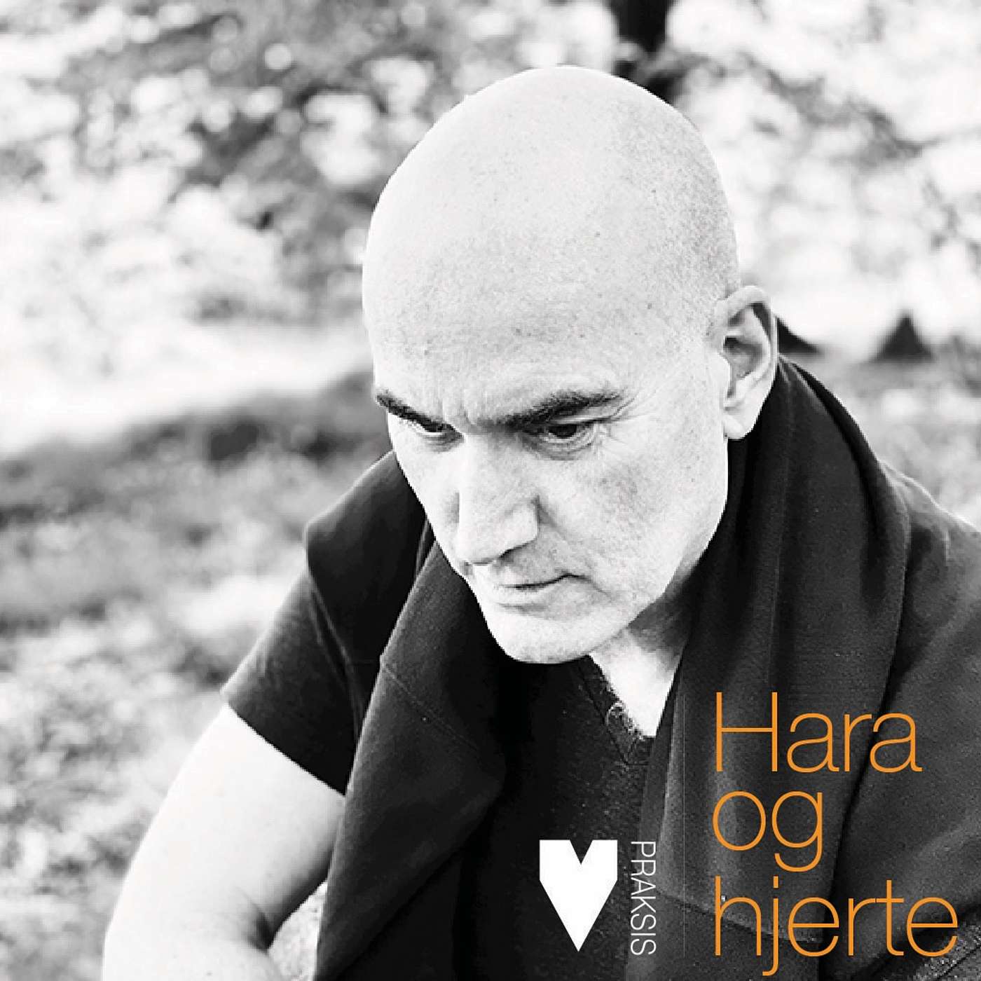 LIGE FRA HJERTET