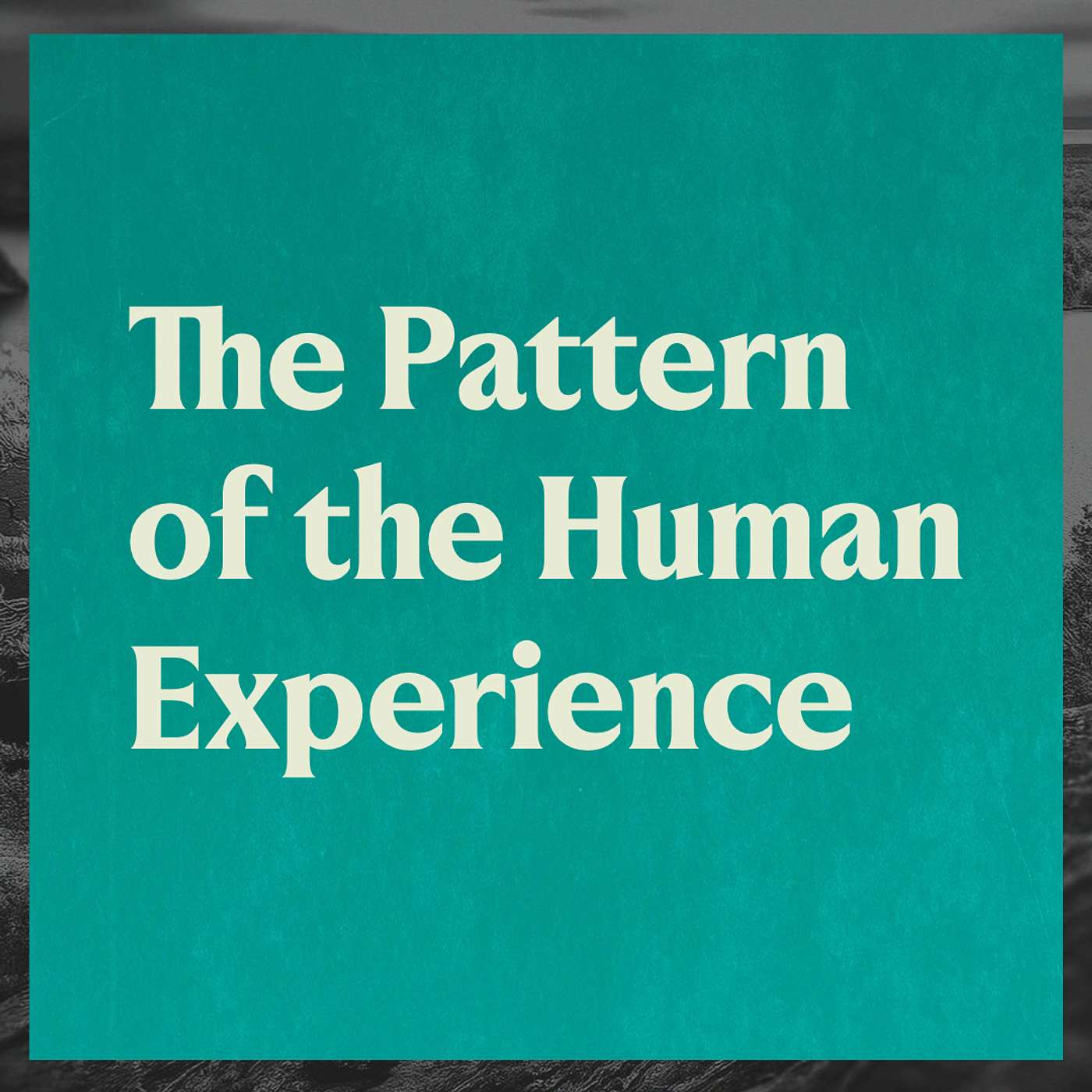 The Pattern of the Human Experience