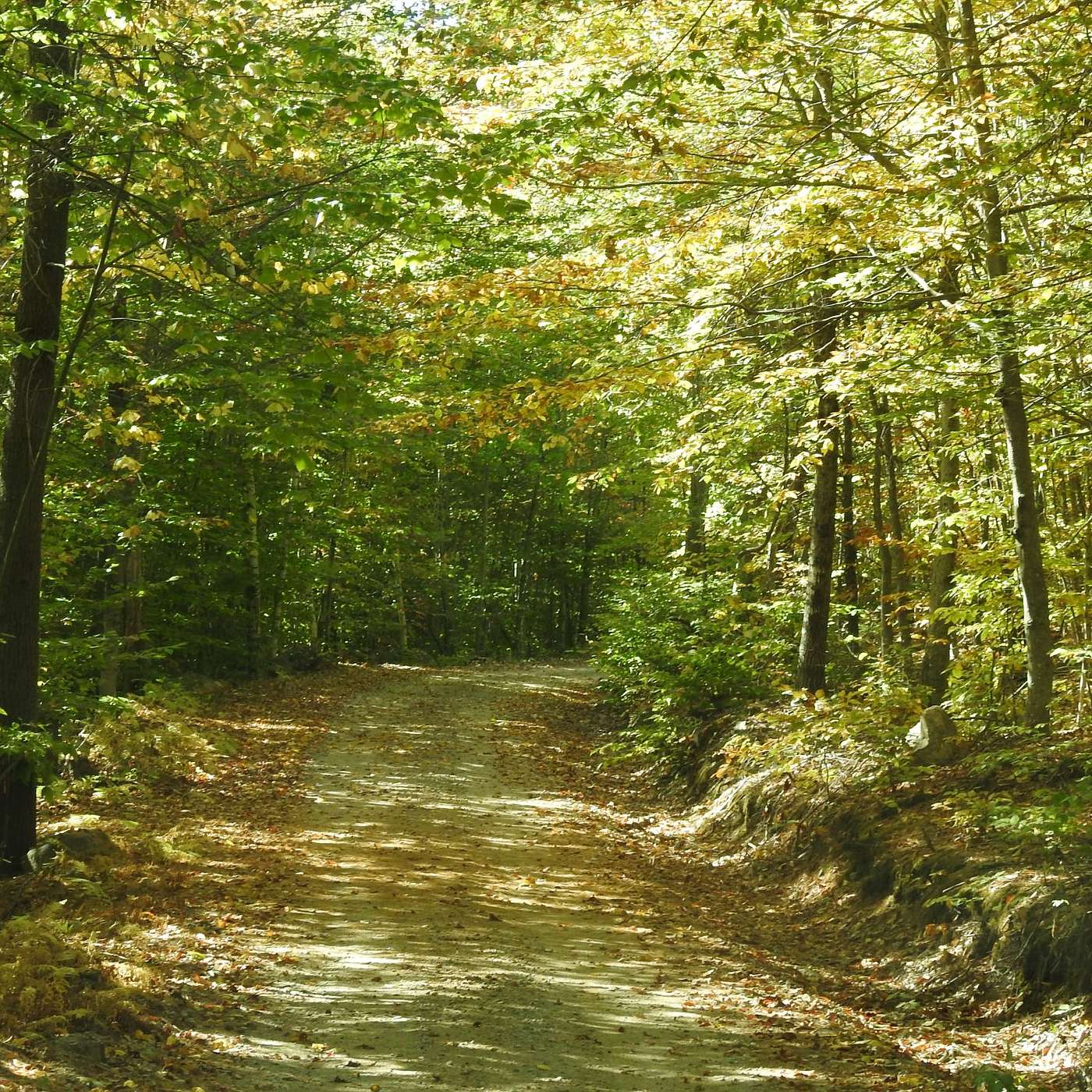 TAKE ME HOME, COUNTRY ROAD