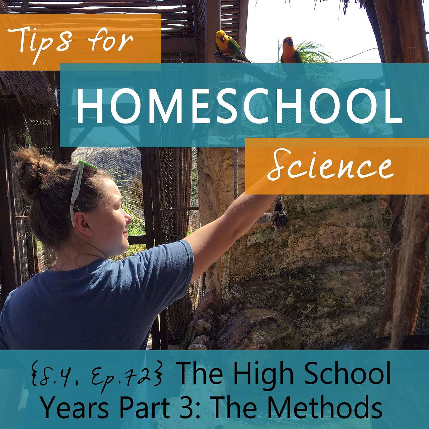 Tips for Homeschool Science Podcast from Elemental Science