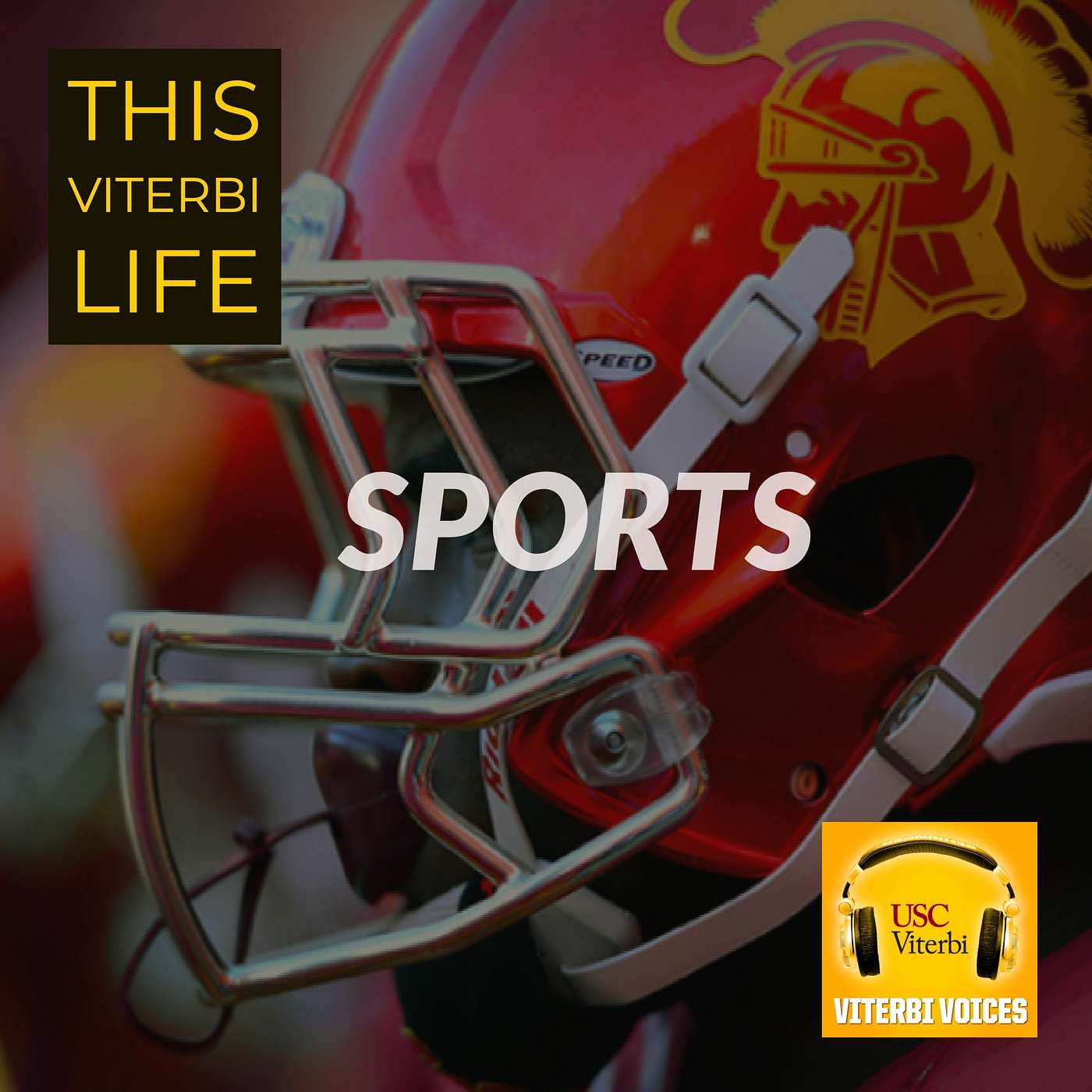Viterbi Voices: The Podcast