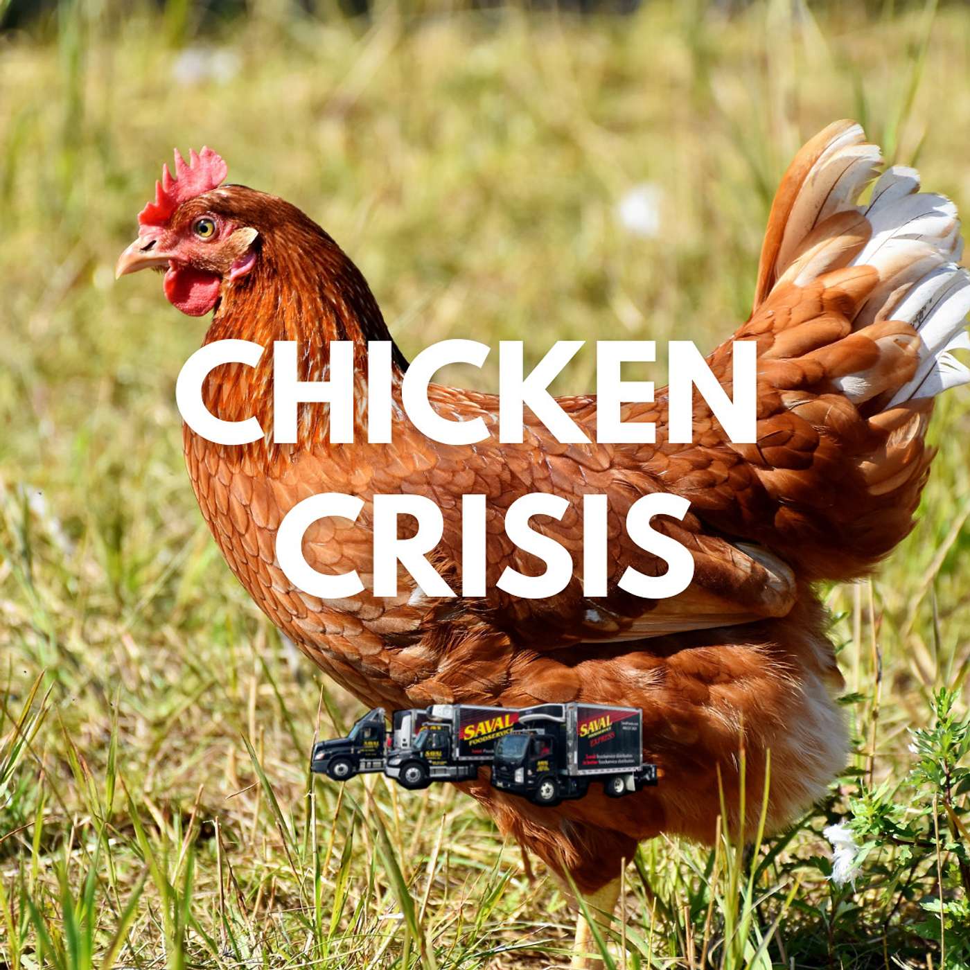 Can We Handle More Chicks? episode artwork