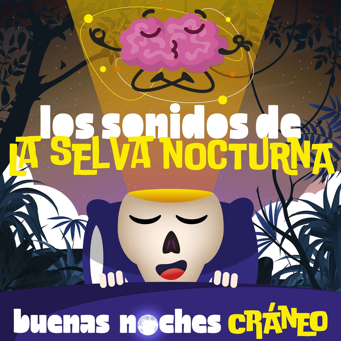 Los sonidos de la selva nocturna episode artwork